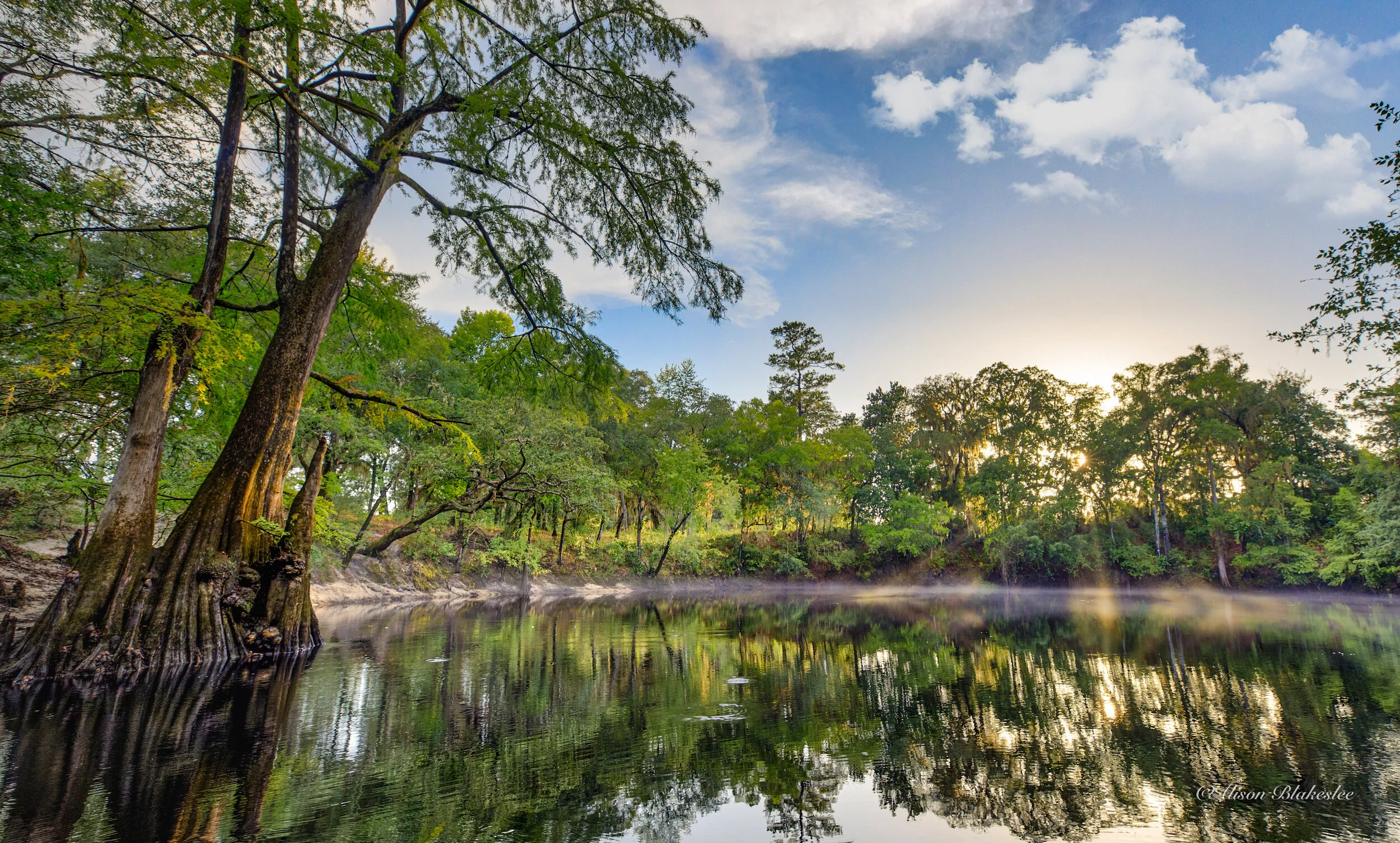 Alachua Conservation Trust — Santa Fe Springs Preserve Guide