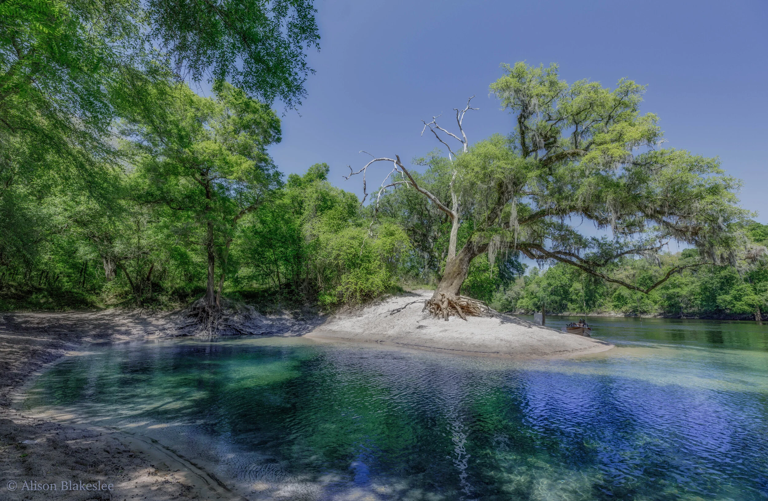 ABlakesleePhoto 2883 In: Alachua Conservation Trust’s Surface to Springs Project Awarded $7.1 Million by USDA | Our Santa Fe River, Inc. (OSFR) | Protecting the Santa Fe River ABlakesleePhoto-2883.jpg