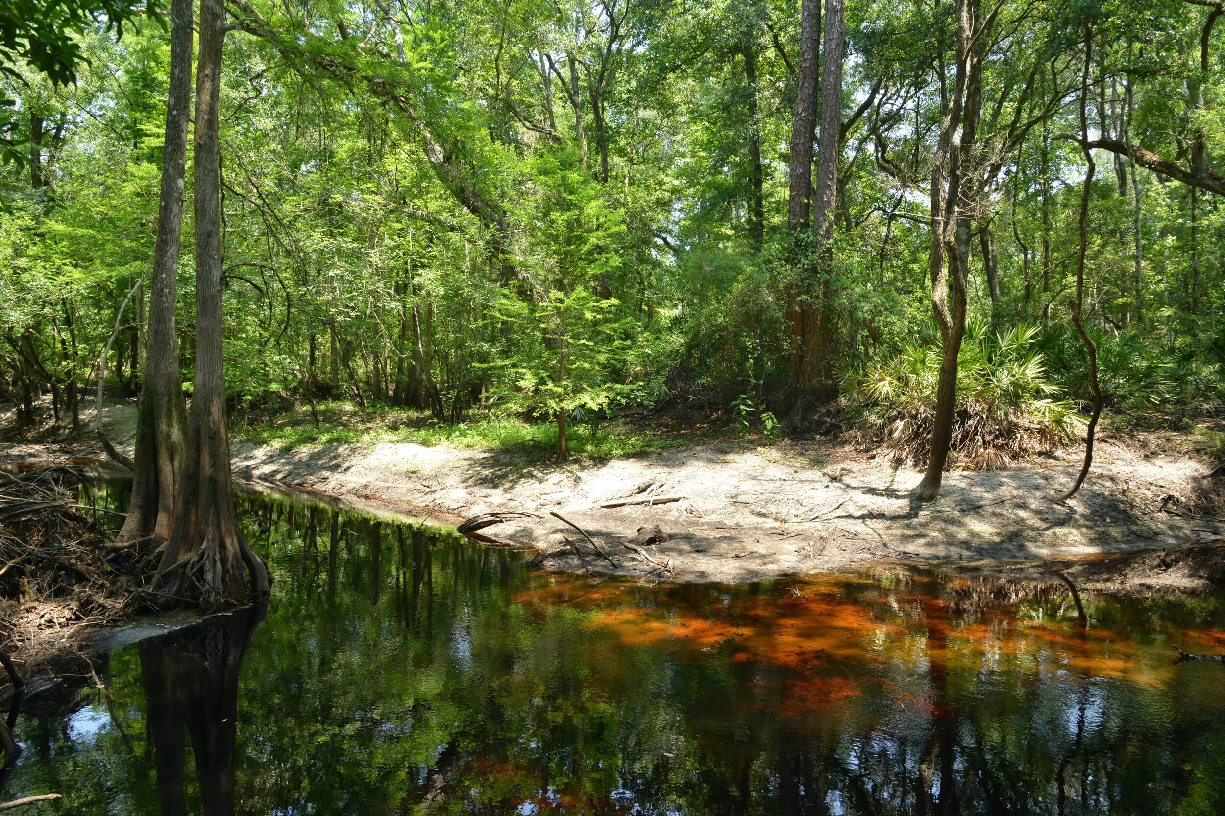 Lundgren Property on the Santa Fe River 3.JPG