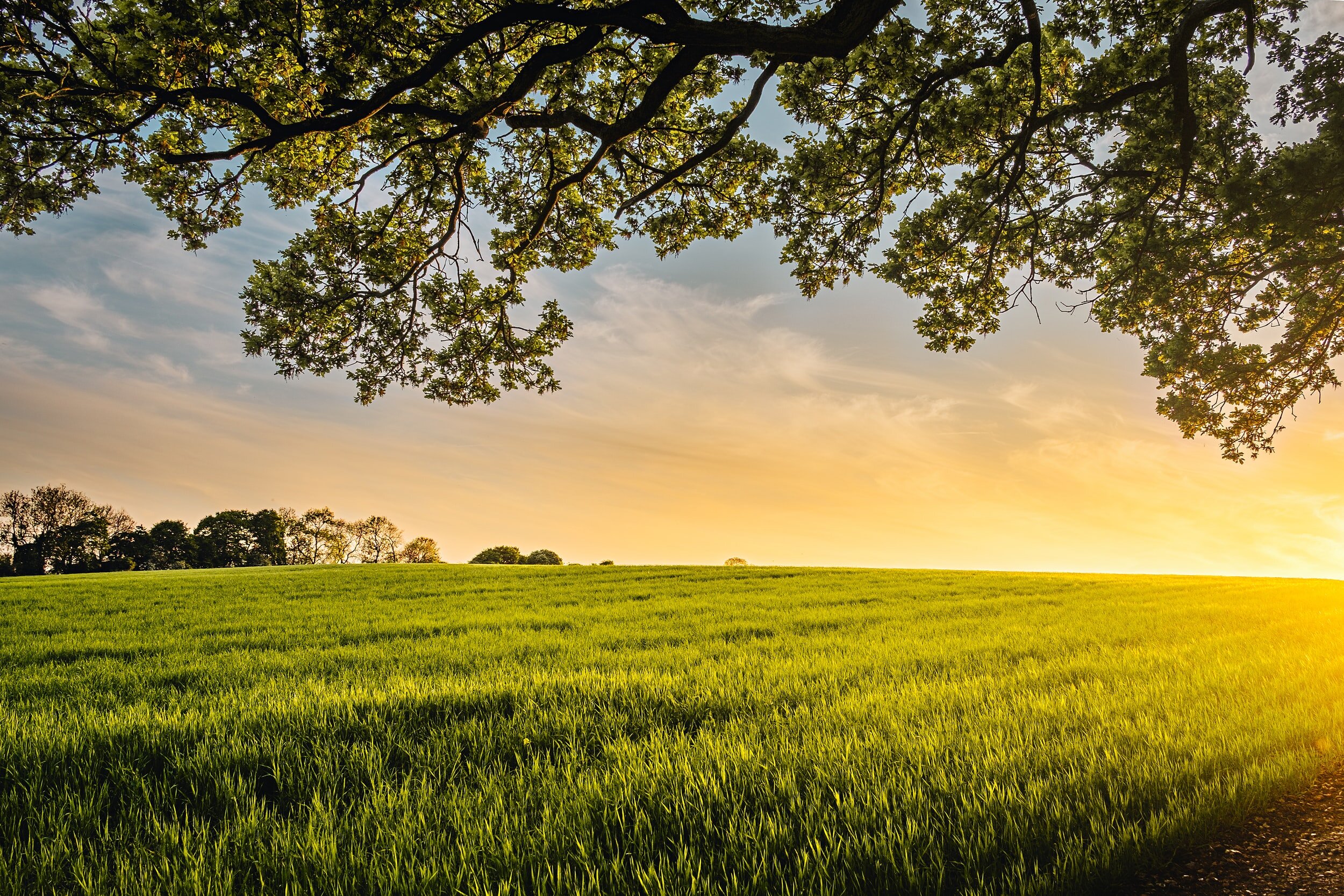 Leaving a Legacy of Land: Conservation Easements & Farm Bill Programs