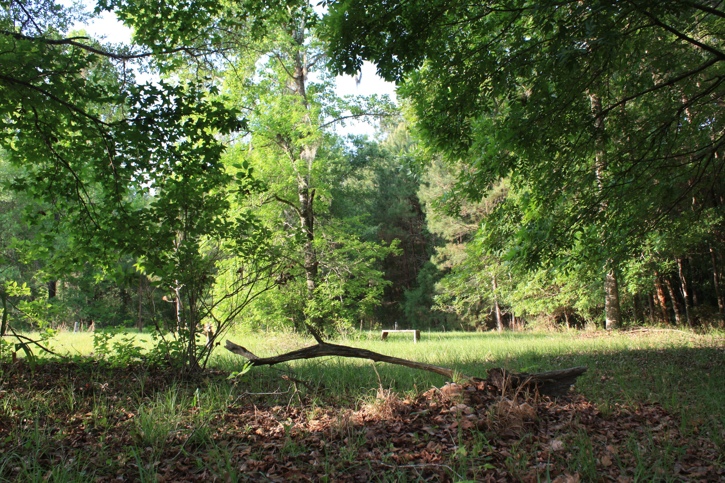 What’s a Body to Do? Conservation Benefits of Natural Burial