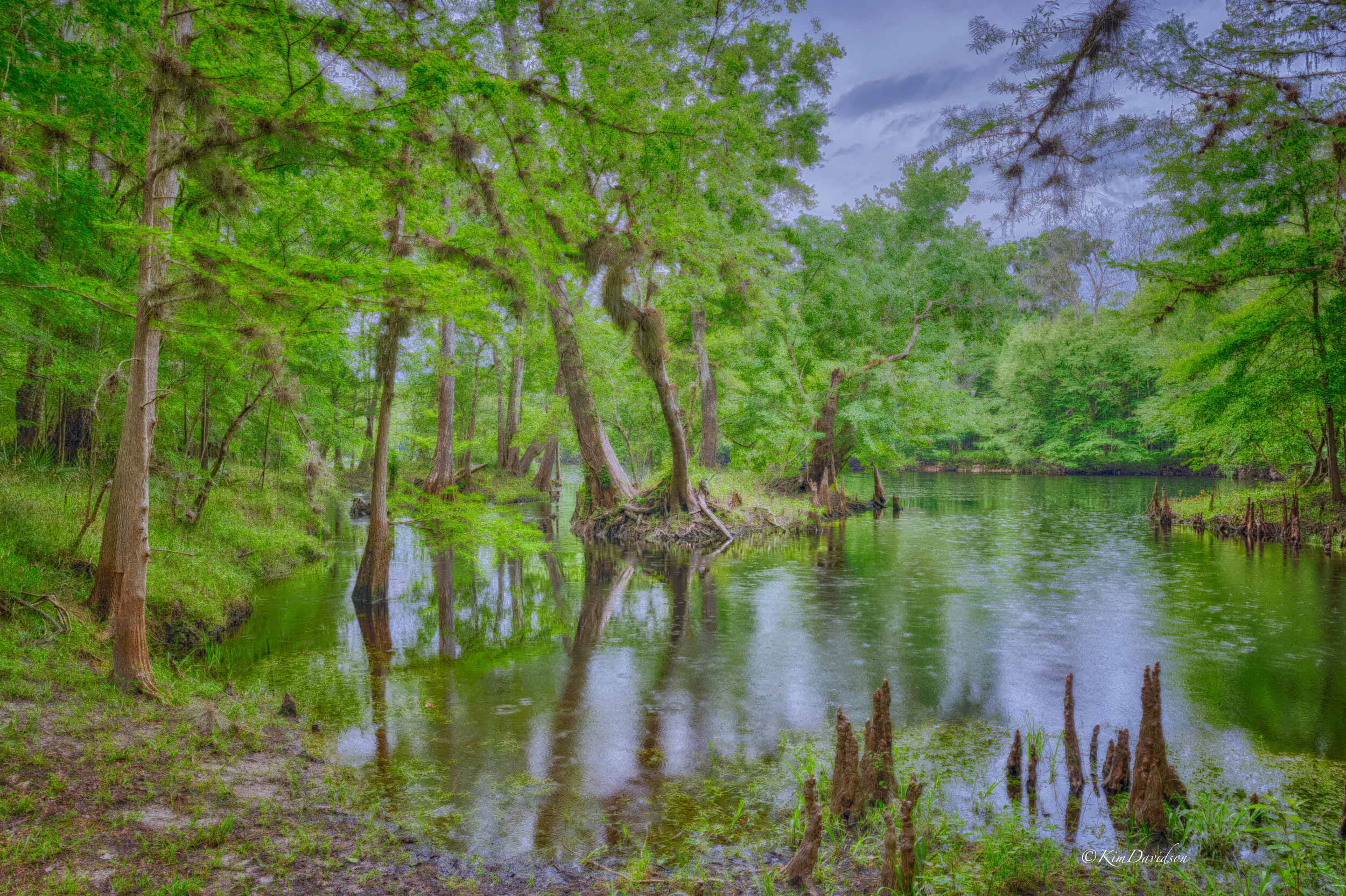 Alachua Conservation Trust Volunteer Work Day And Preserve Tour 