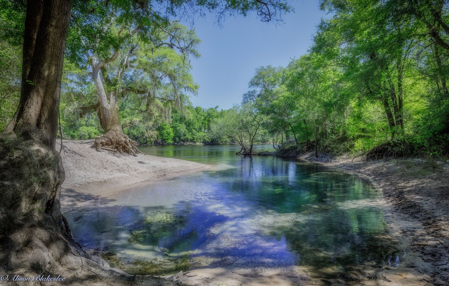 Suwannee River Headwaters Forest – Georgia - The Conservation Fund