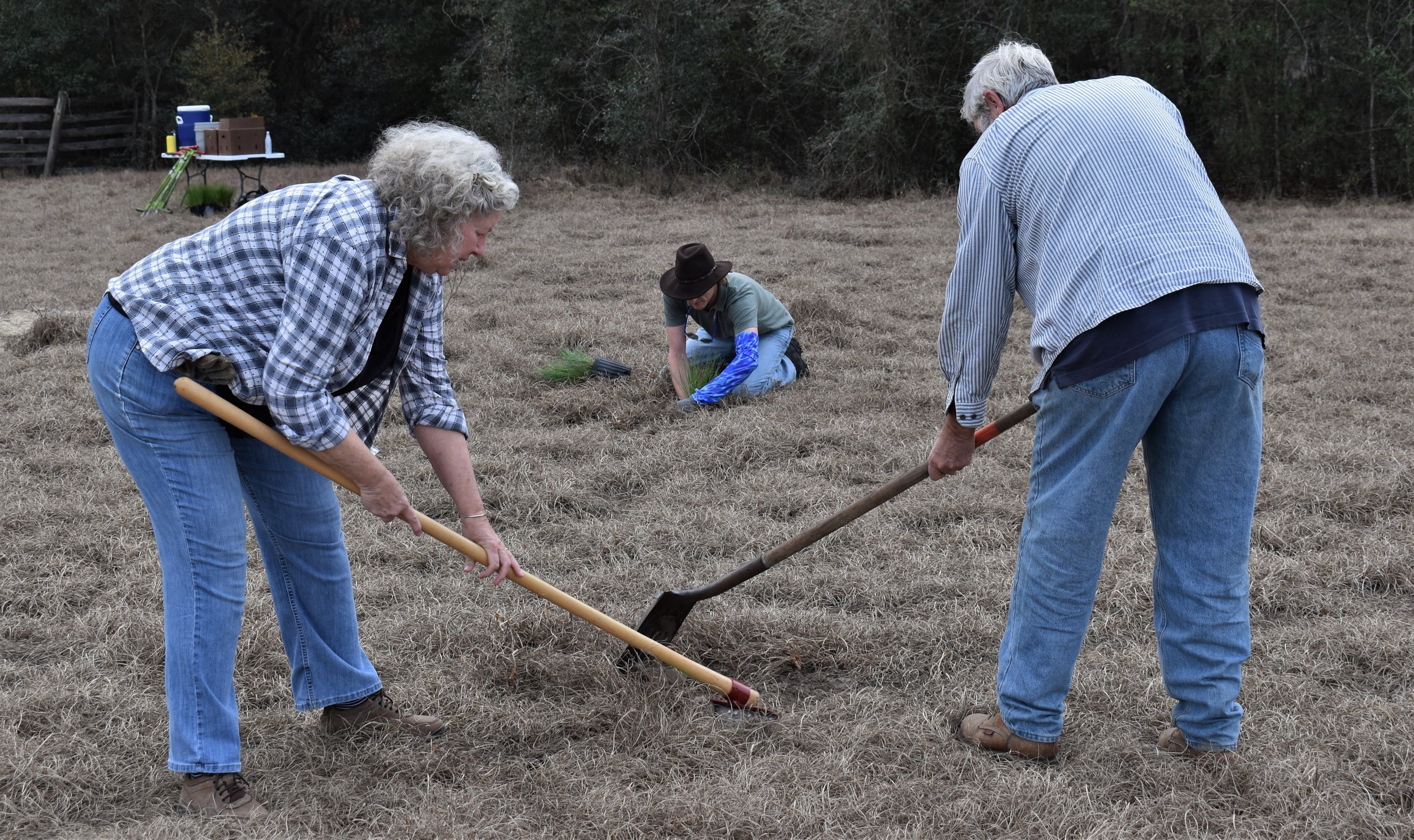 SFSP Planting Ema (90).JPG