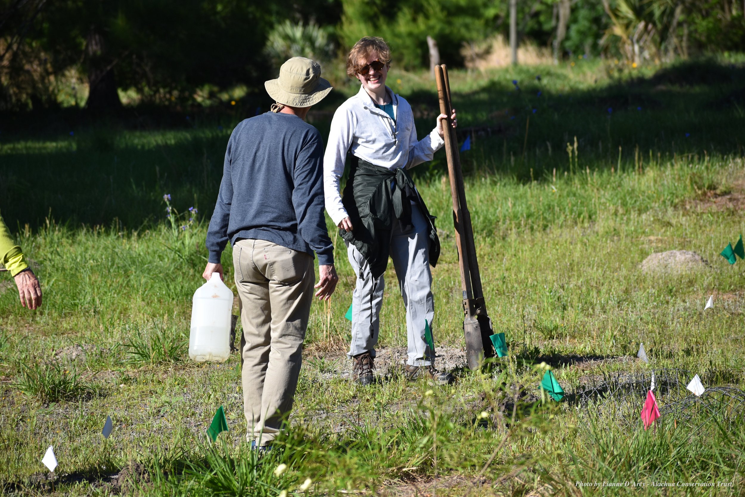 Top_Lianne D'Arcy_Native Wildflower Planting_4.8 (25).JPG