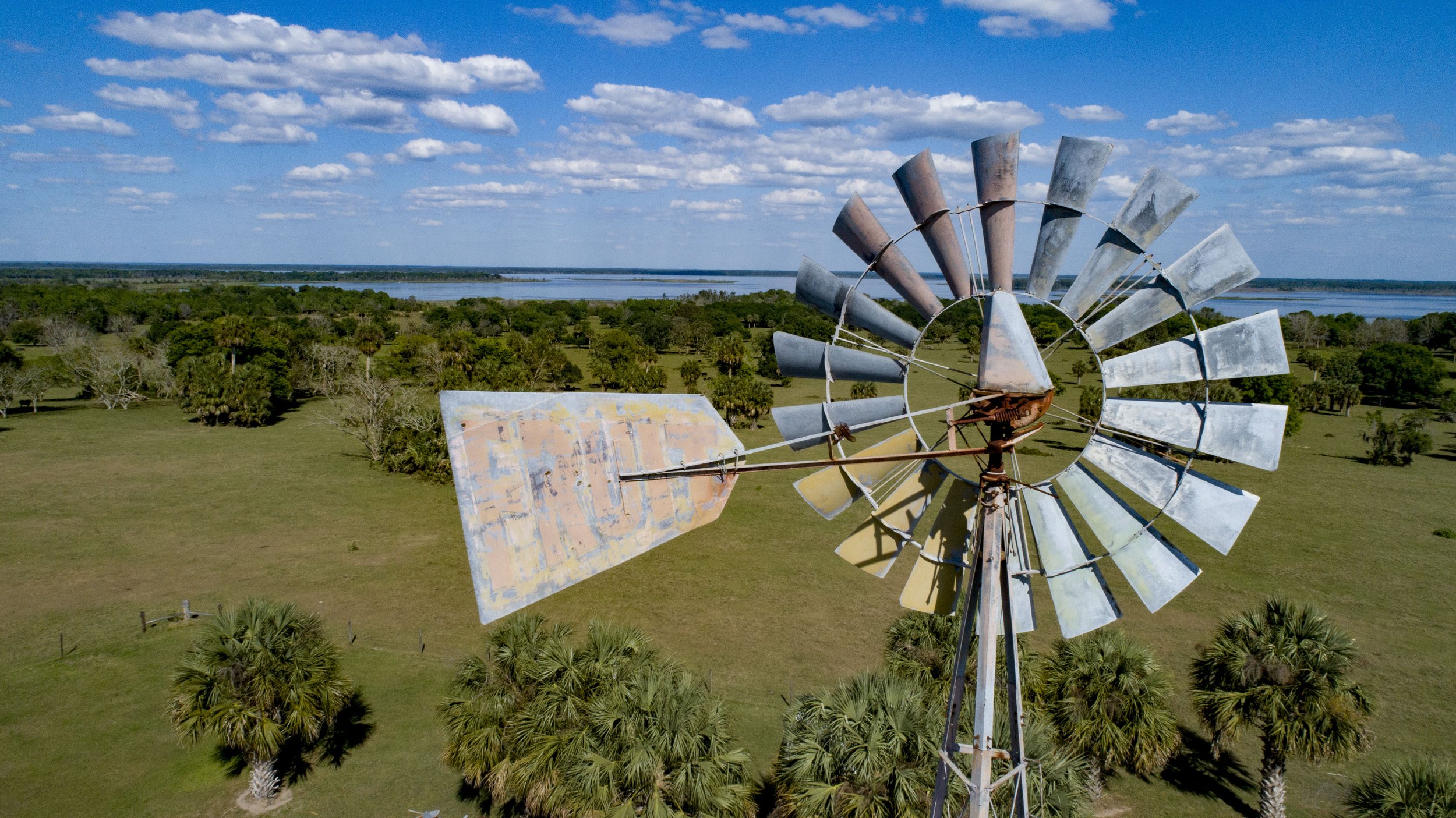 3 OLO Windmill by Sean Dowie.jpg