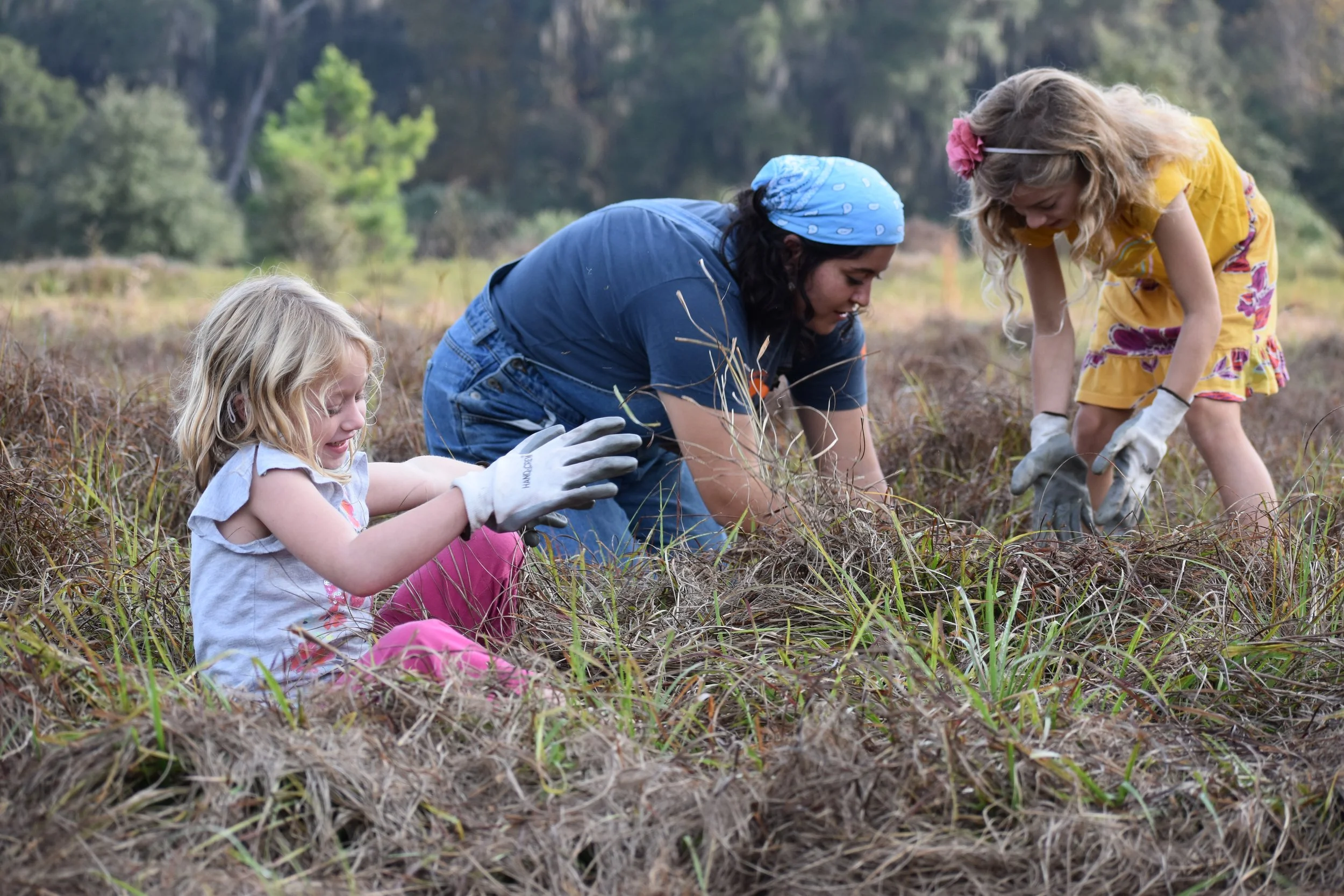  Trees and Treats: Plant a Pine &amp; Decorate a Holiday Cookie with ACT 