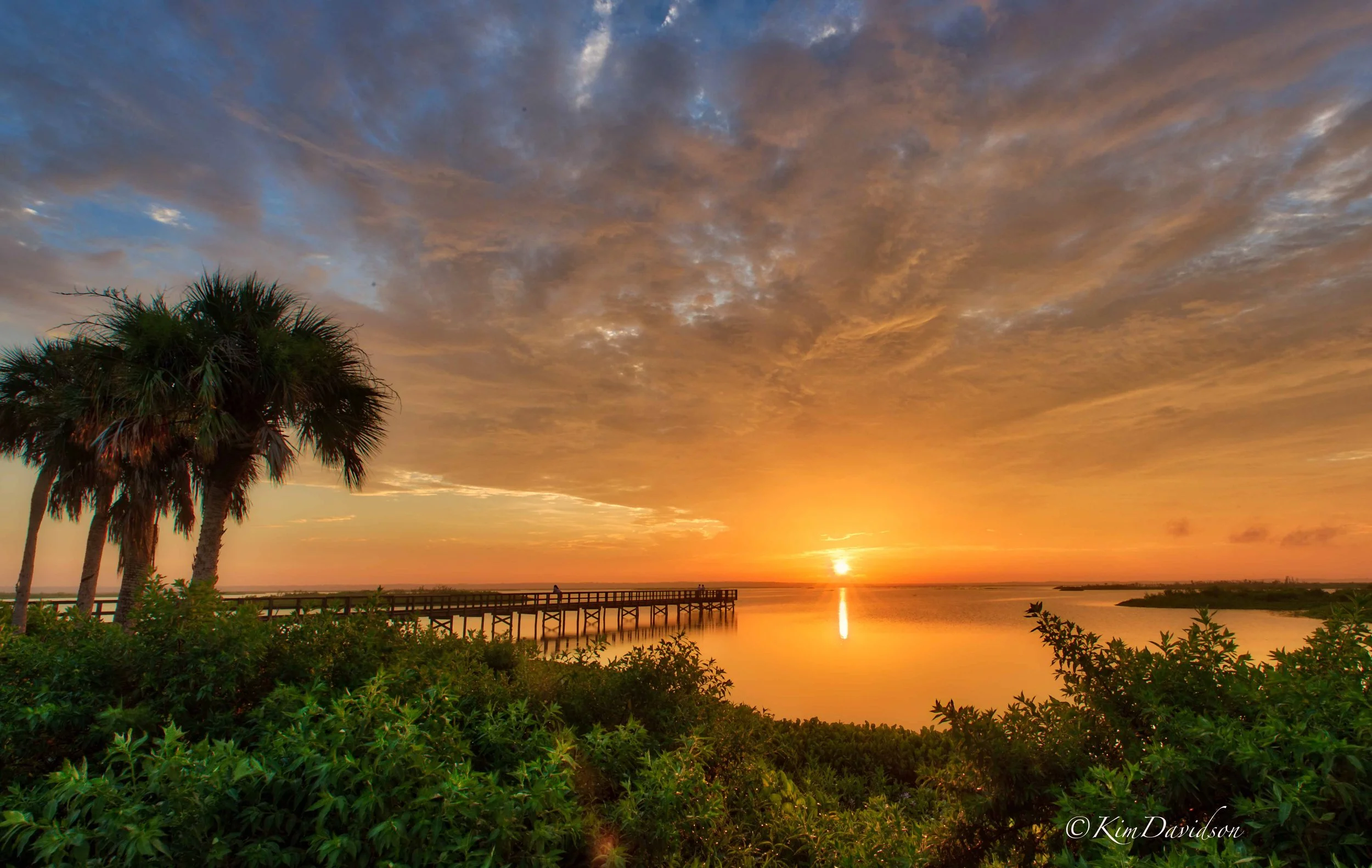      

 
    250 Years Later Bartram’s Travels Continue to Inspire Conservation   by Jeffrey Forbes  April 2024 marks the 250th anniversary of William Bartram’s travels to and through beautiful North Central Florida in 1774. Bartram, a Quaker, natura