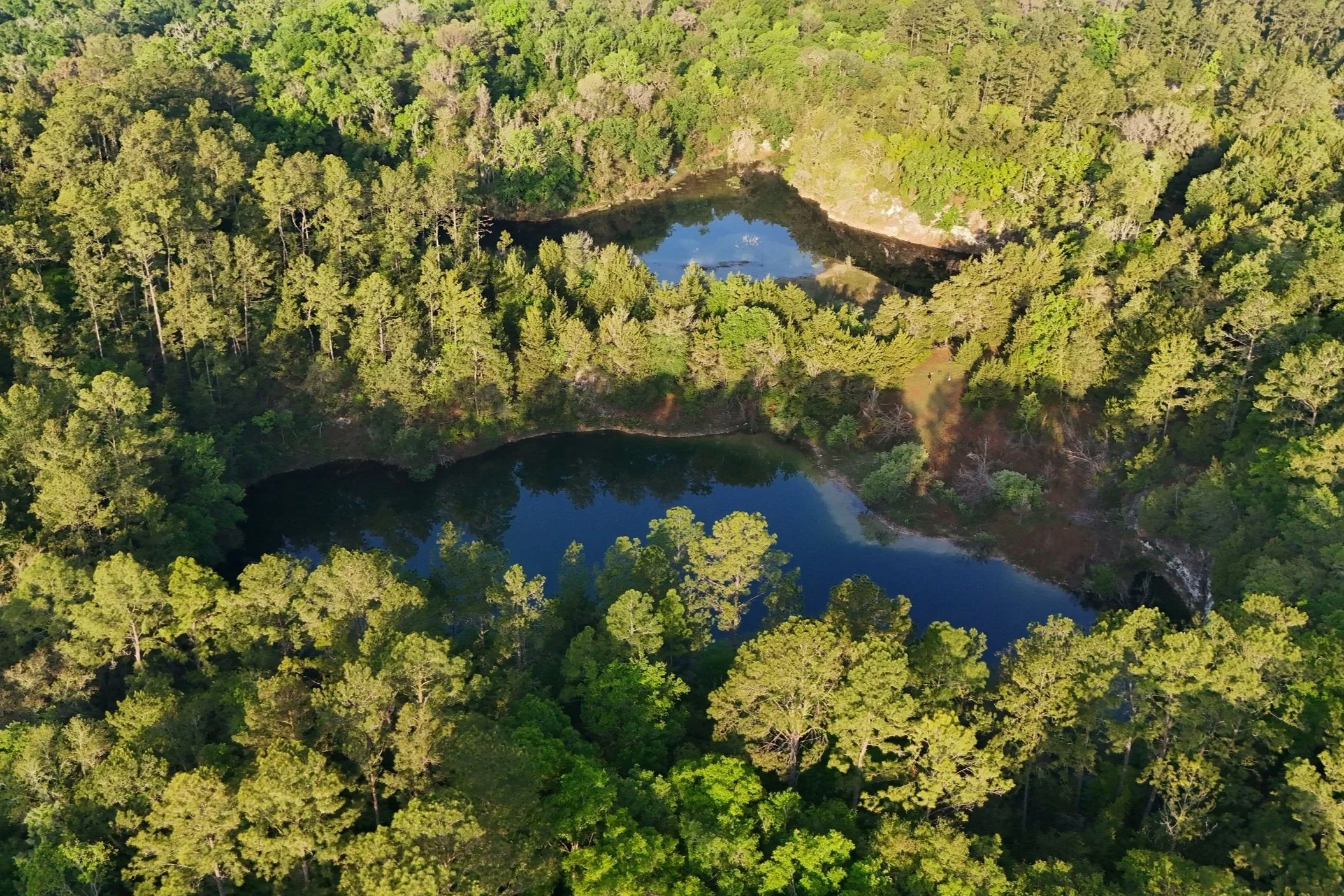 Conservation Easements