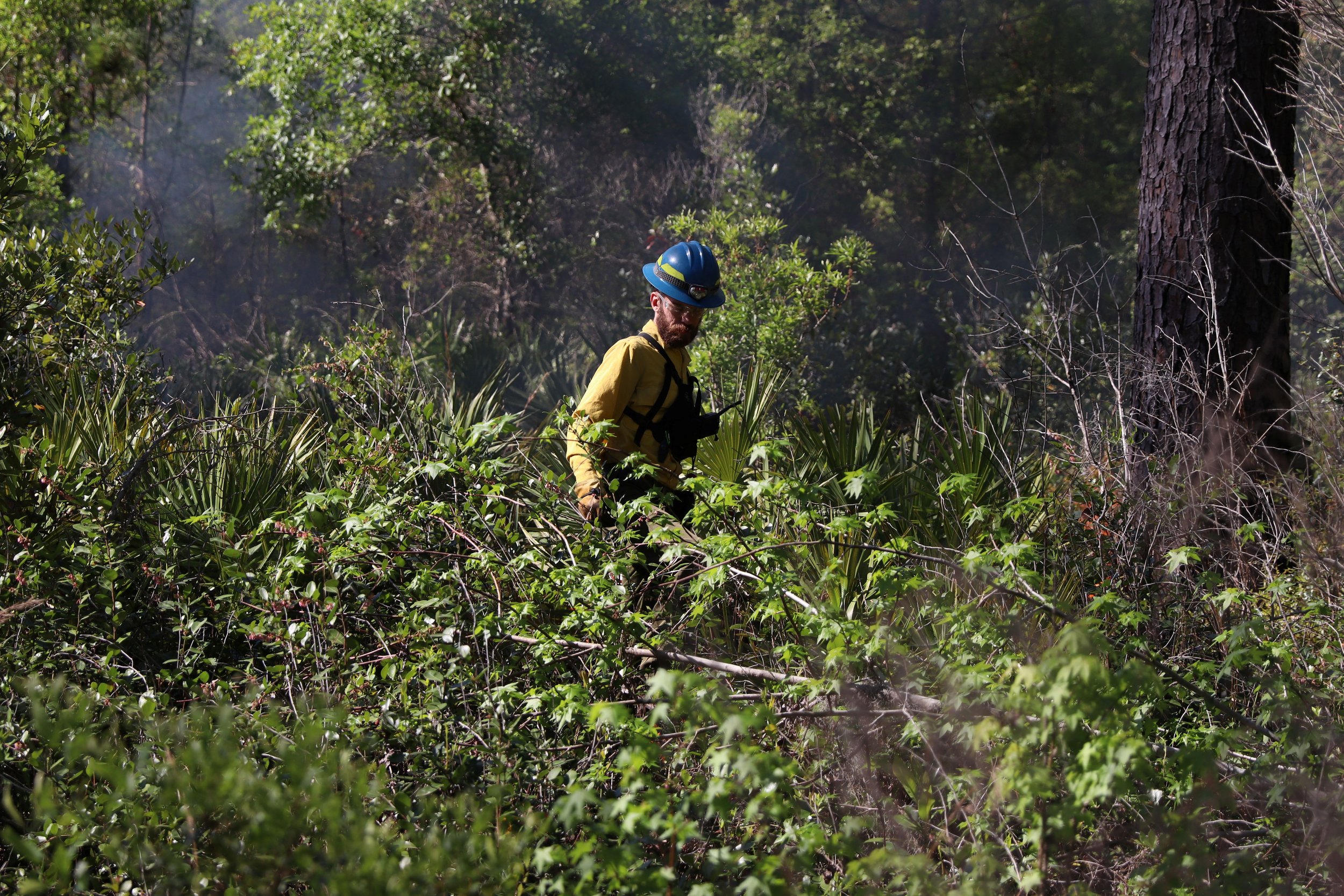 Habitat Restoration & Management