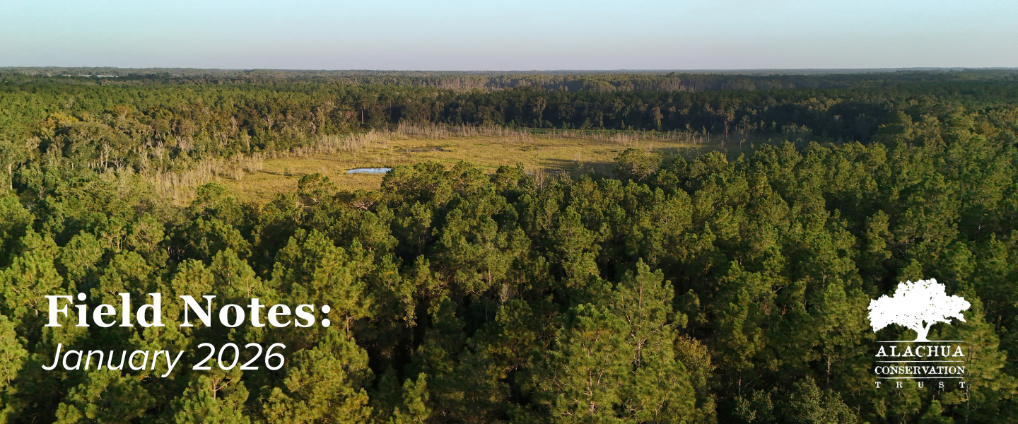 Jan 2026 Cover Image