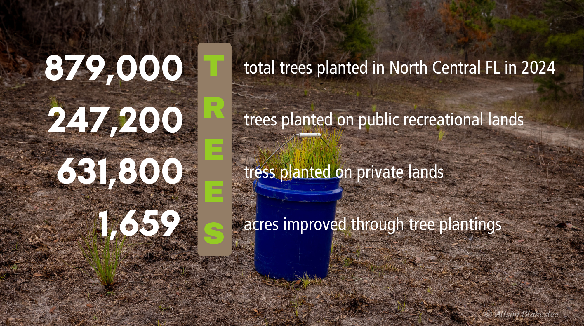 Alachua Conservation Trust — Habitat Restoration & Management