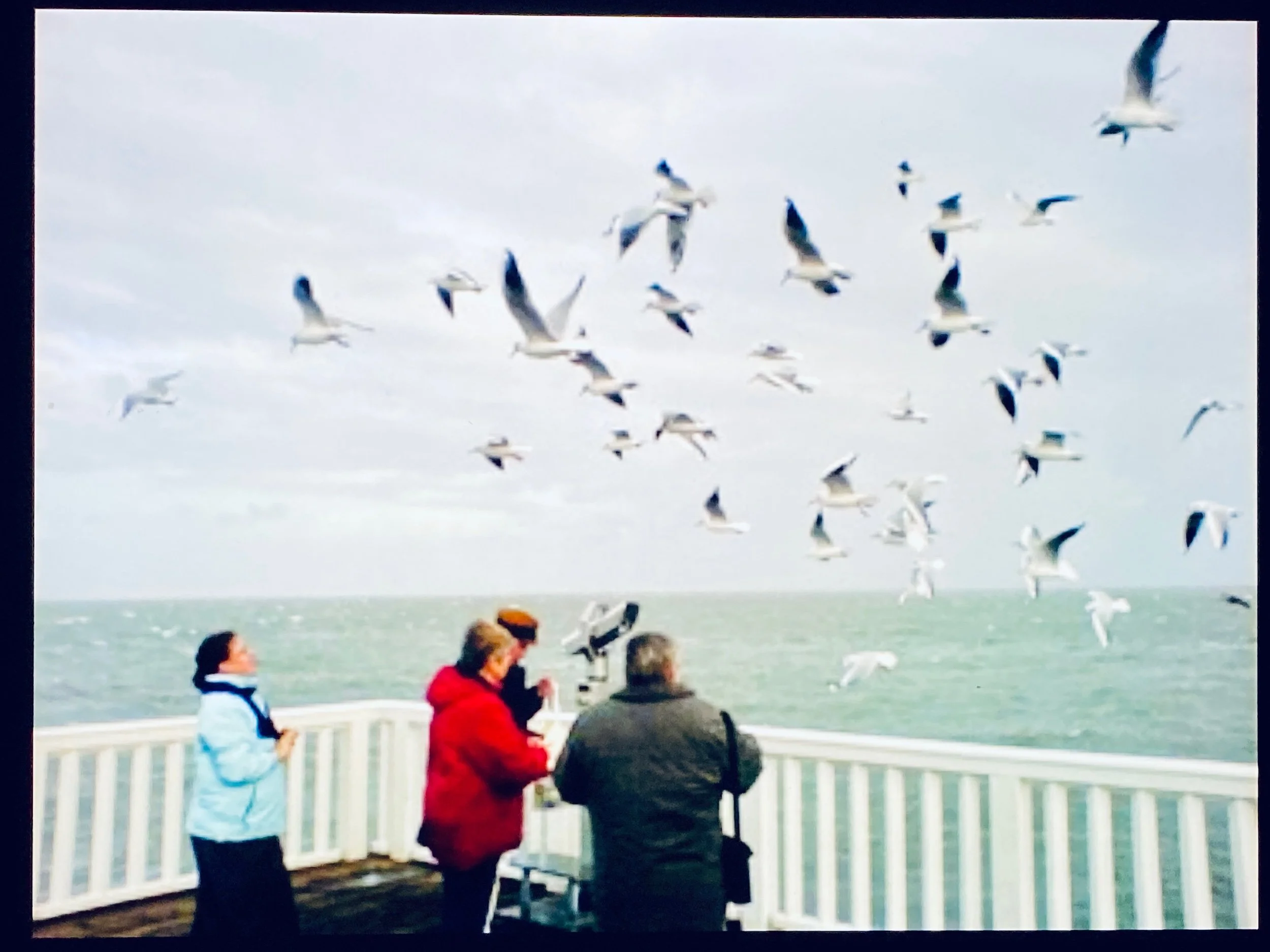 _euro_installation_#001_”THE SEAGULL went home”_by_docfoss