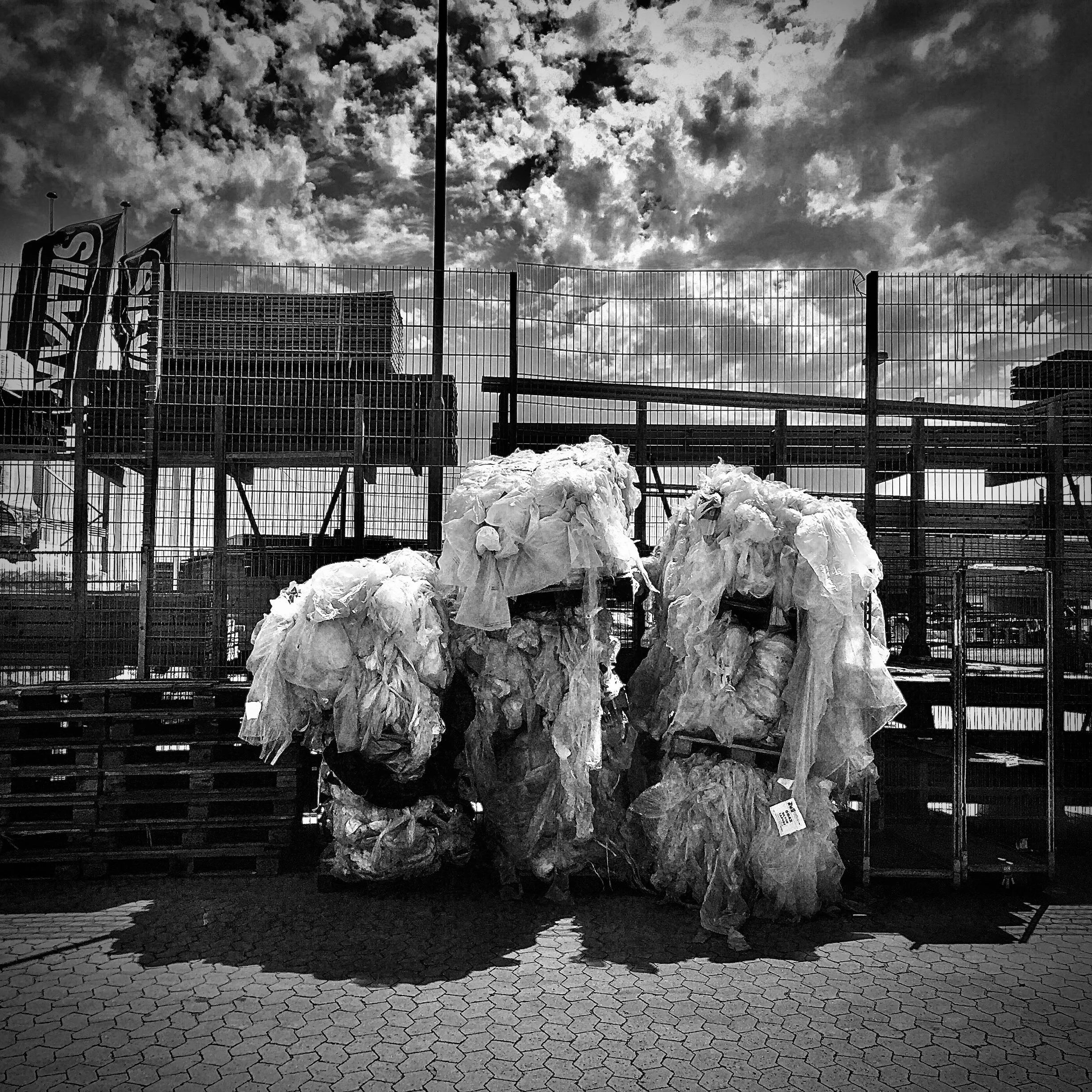 _euro_installation_#058_”THE WILD THINGS!”