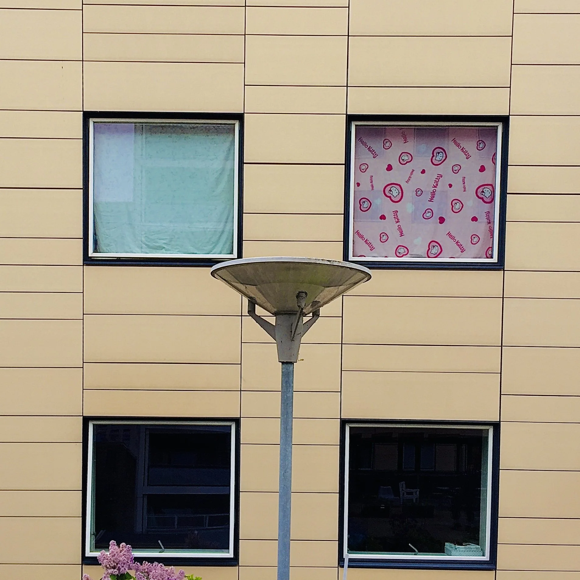 _euro_installation_#053_”PINK FLOWERS”