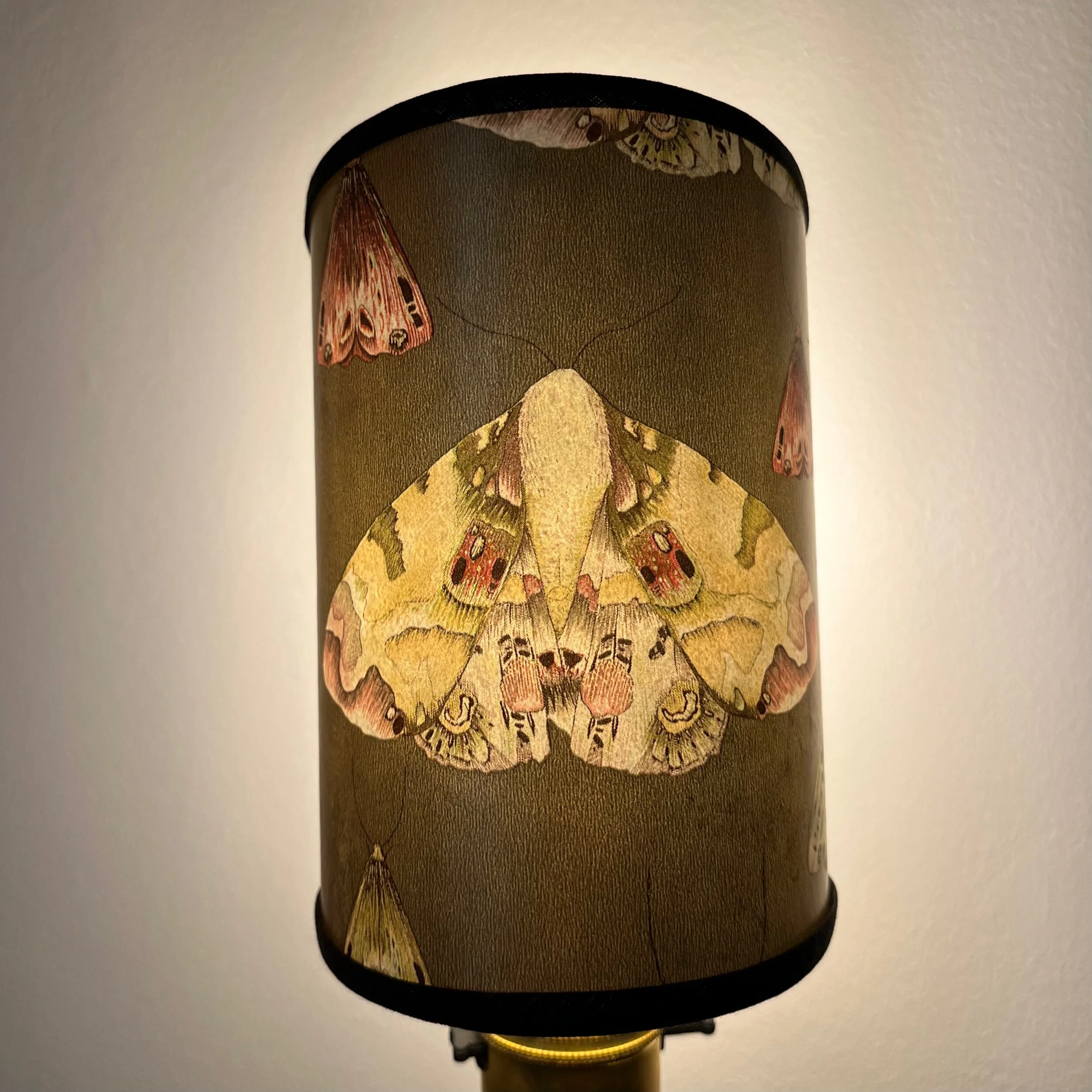 5BDC063F-F8F5-49ED-B508-BE1D6359C299