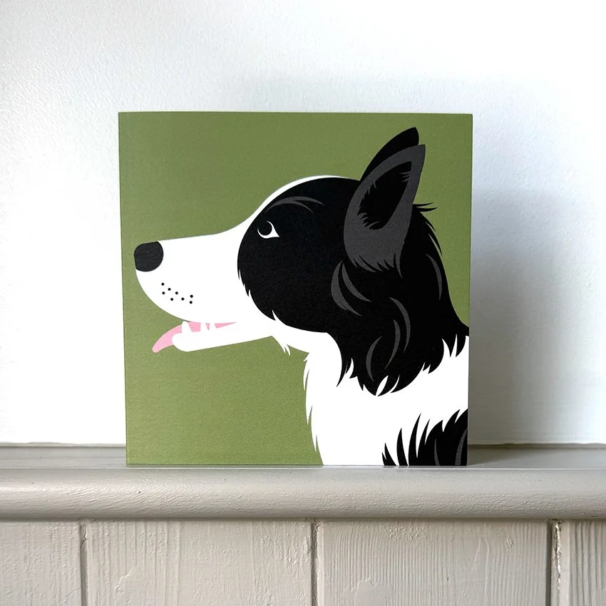 Border Collie FC WEB.jpg