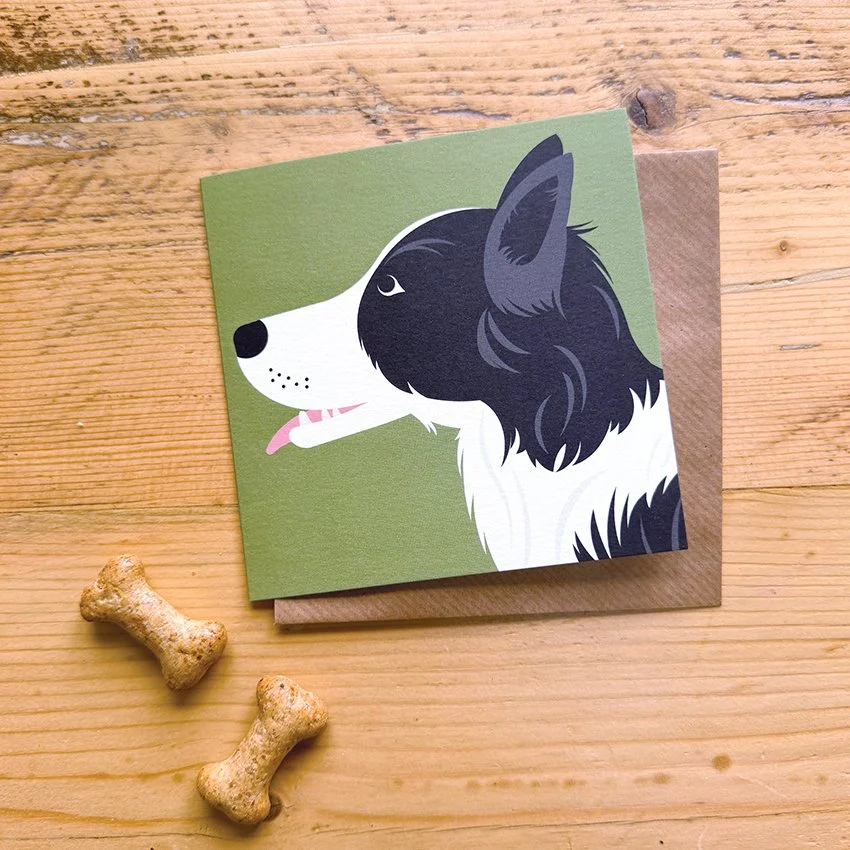 Border Collie LS WEB.jpg