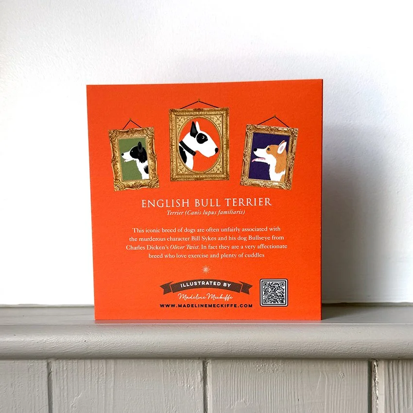 English Bull terrier BK WEB.jpg