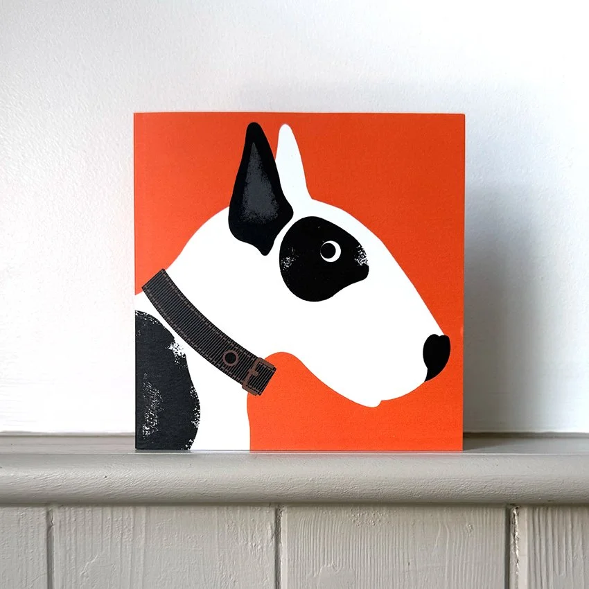English Bull terrier FC WEB.jpg
