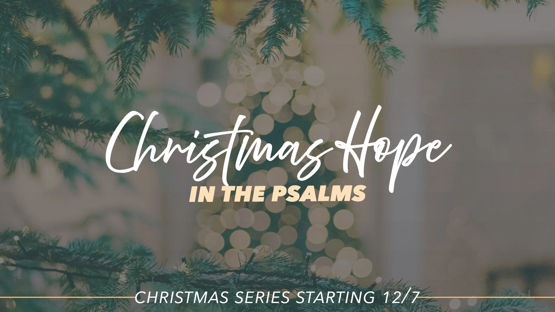 startingChristmasHope(psalms) series graph copy.jpg