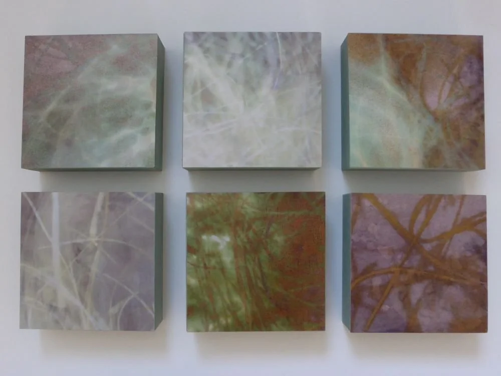 P1030164_Grösse (2).JPG