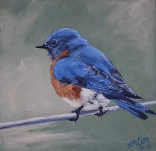 Bluebird