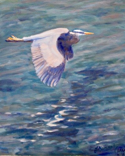 Blue taking off