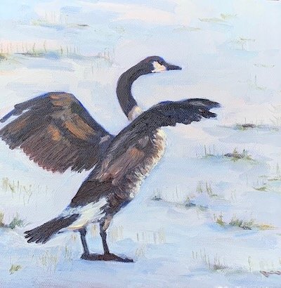 Goose on a snowy field