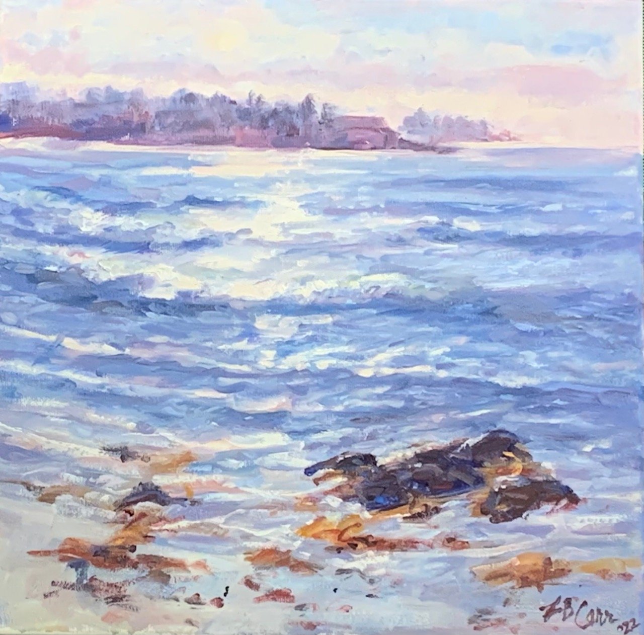 Early Morning Gooches Beach