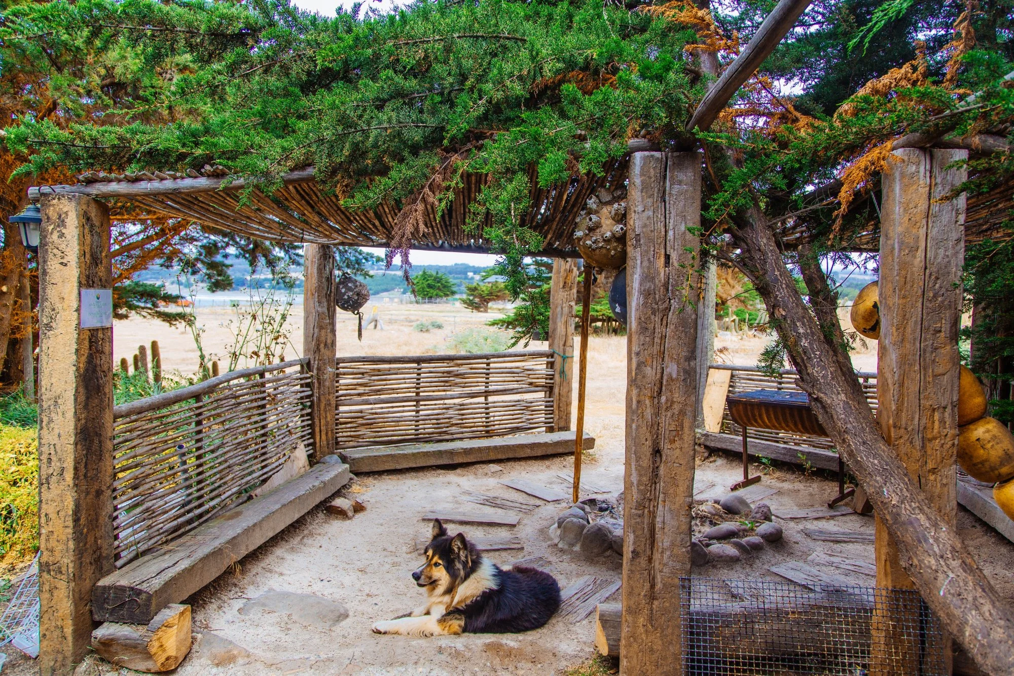 firepit-and-main-entrance.jpg