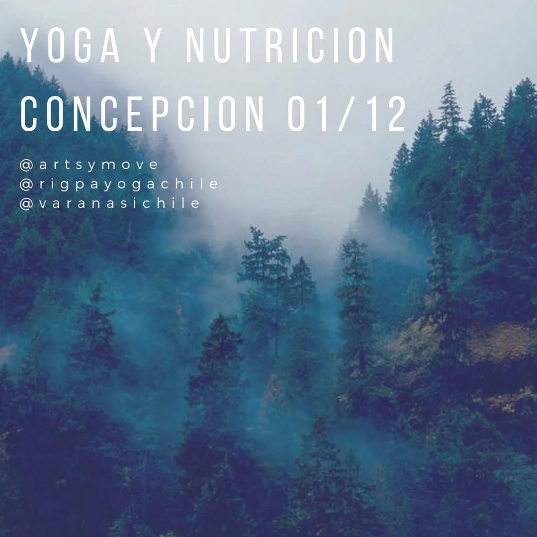 Taller Yoga , meditación y alimentación consciente en concepción