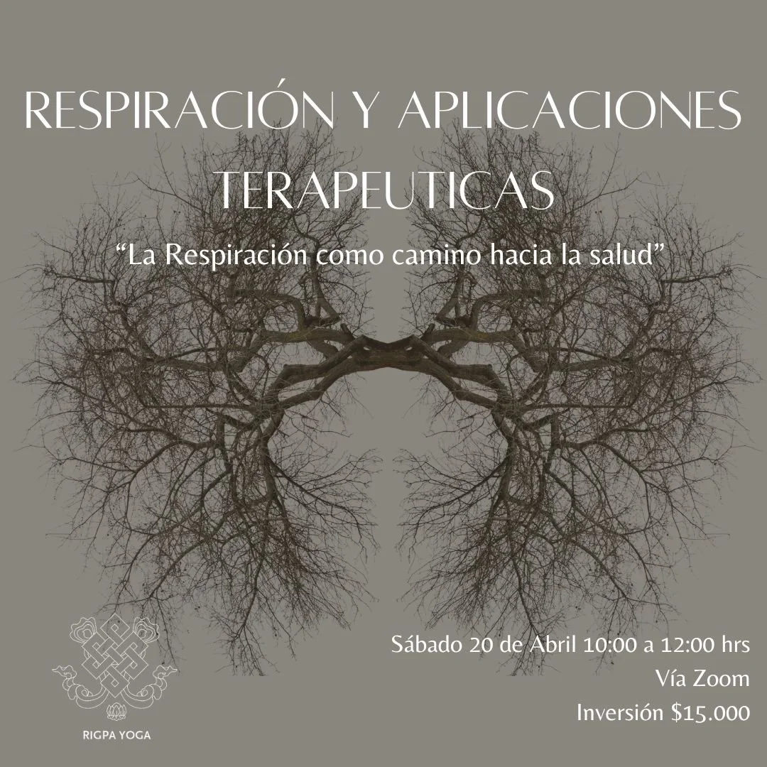 Respiración y Aplicaciones Terpéuticas (On Line)
