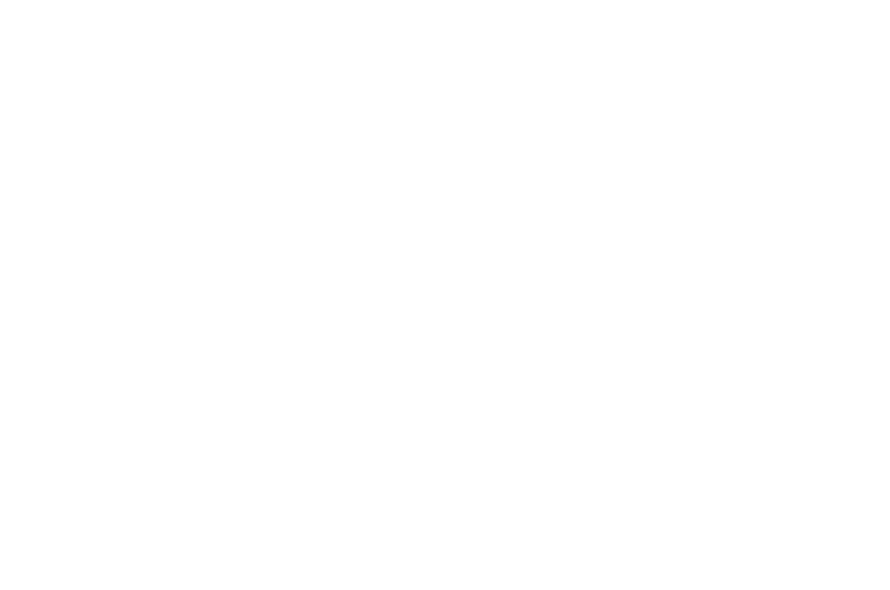 OFFICIAL SELECTION - SF Shorts  The San Francisco International Festival of Short Films - 2021.png