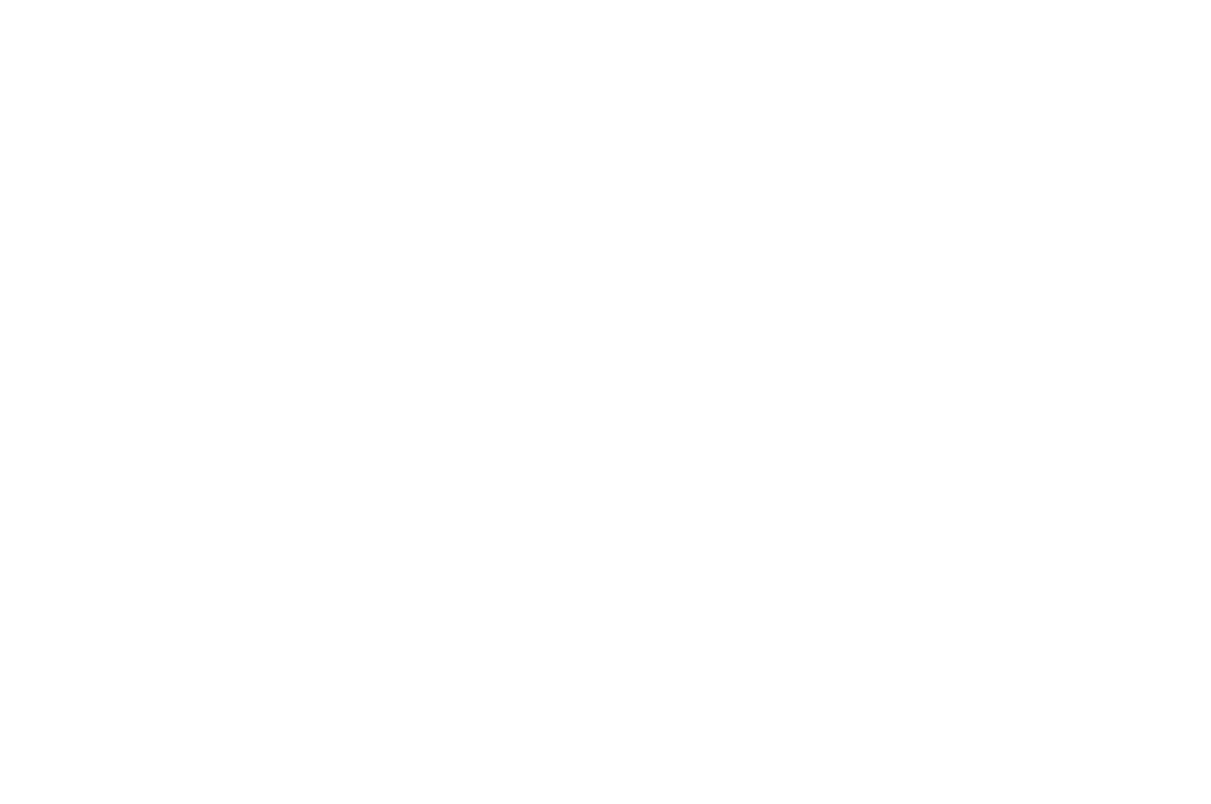 BEST OF FEST AWARD WINNER - San Francisco Short Film Festival presented by SF IndieFest - 2021.png