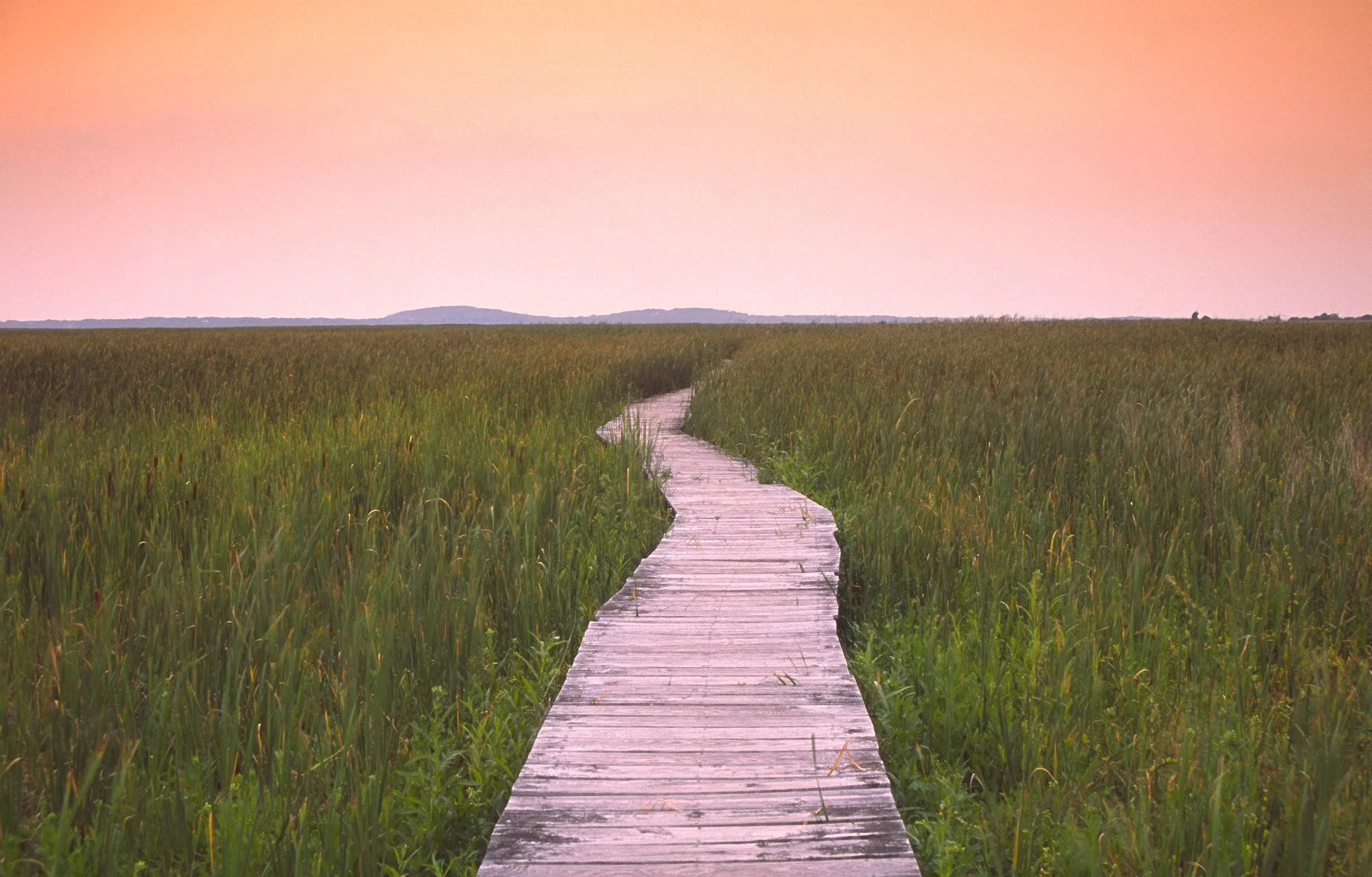 iStock-Large-min.jpg