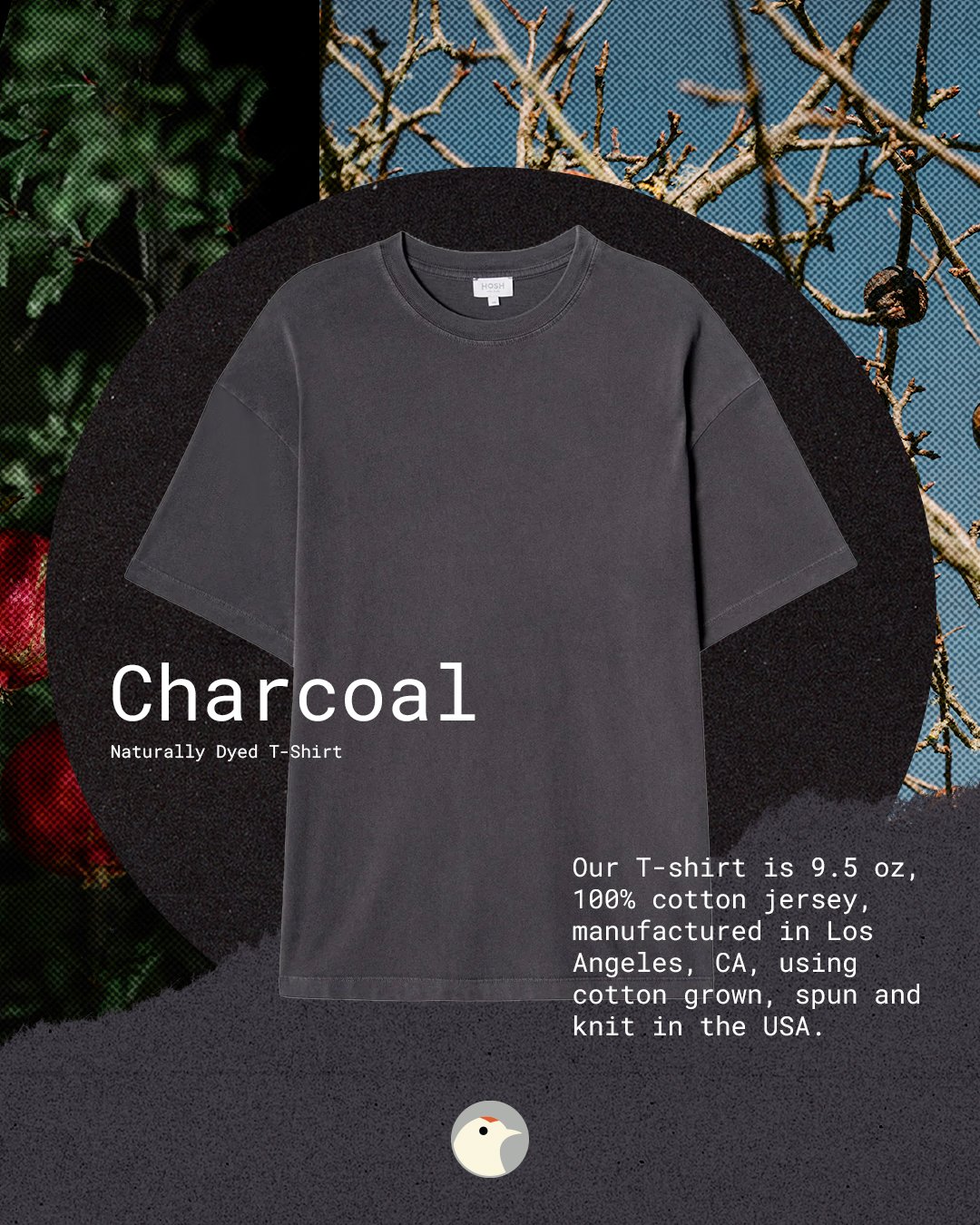 charcoal-1.jpg