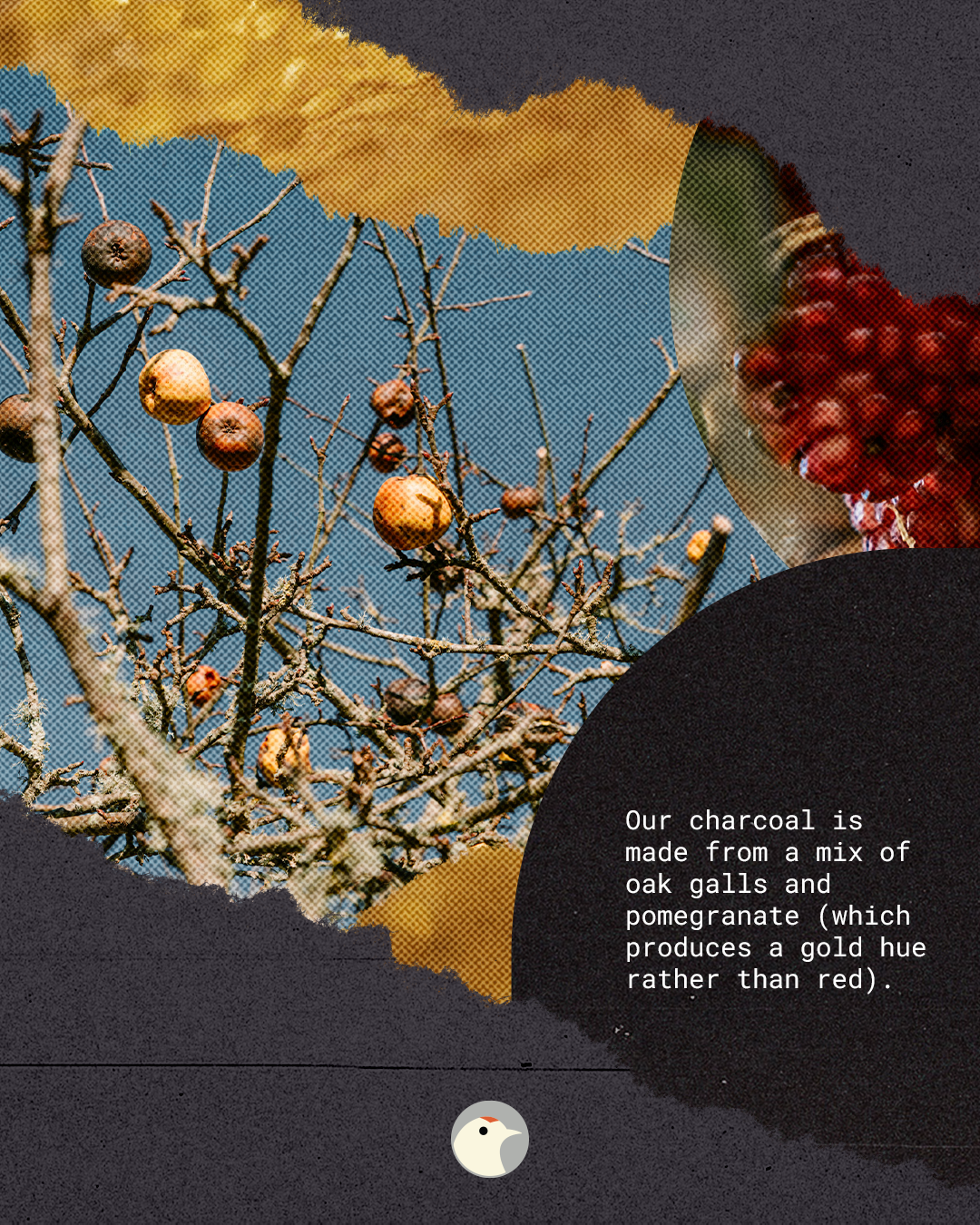 charcoal-2.png
