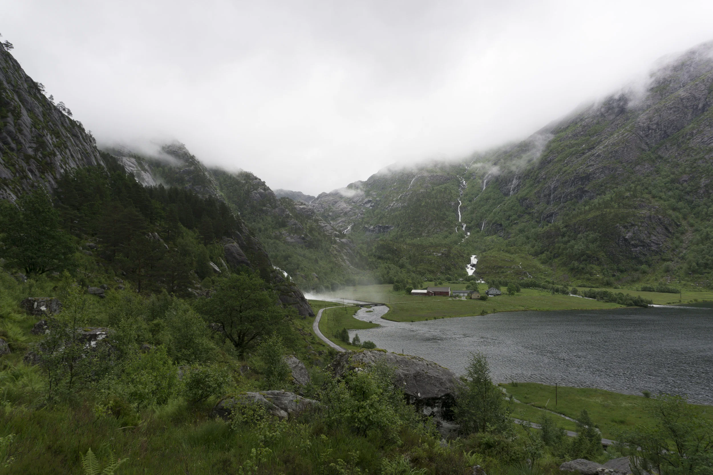 DSC01849.jpg