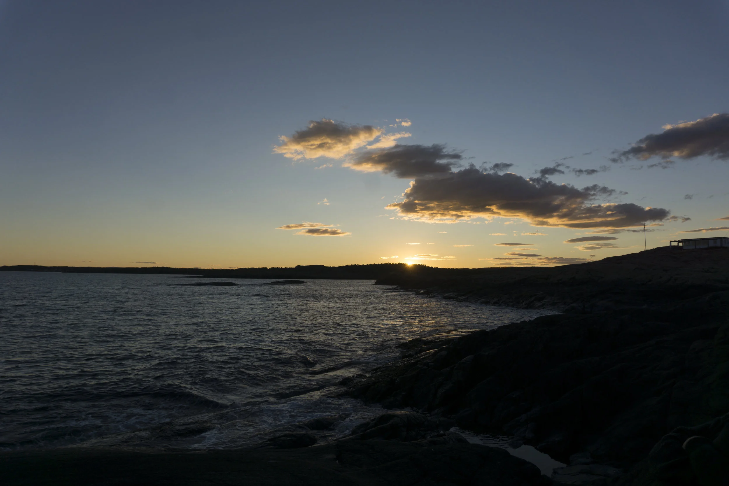 DSC02009.jpg