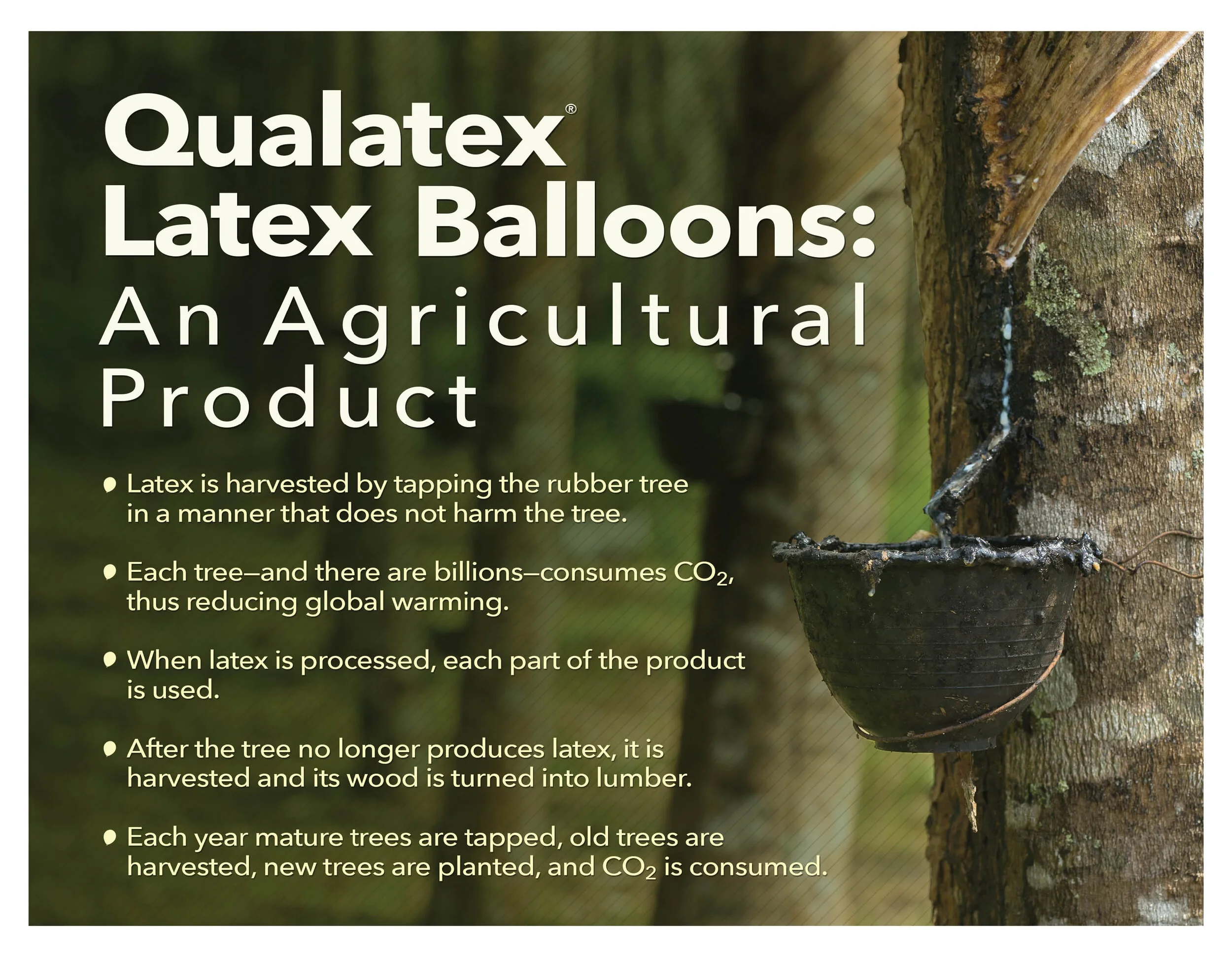 2020 Qualatex Calendar Environmental Page.jpg