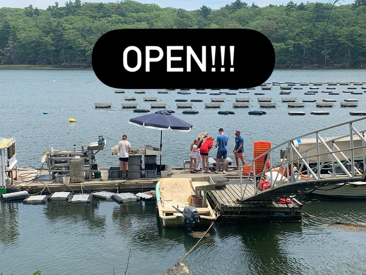 U-Pick and online orders are officially open again! Thanks for your patience everyone! See you at the dock!