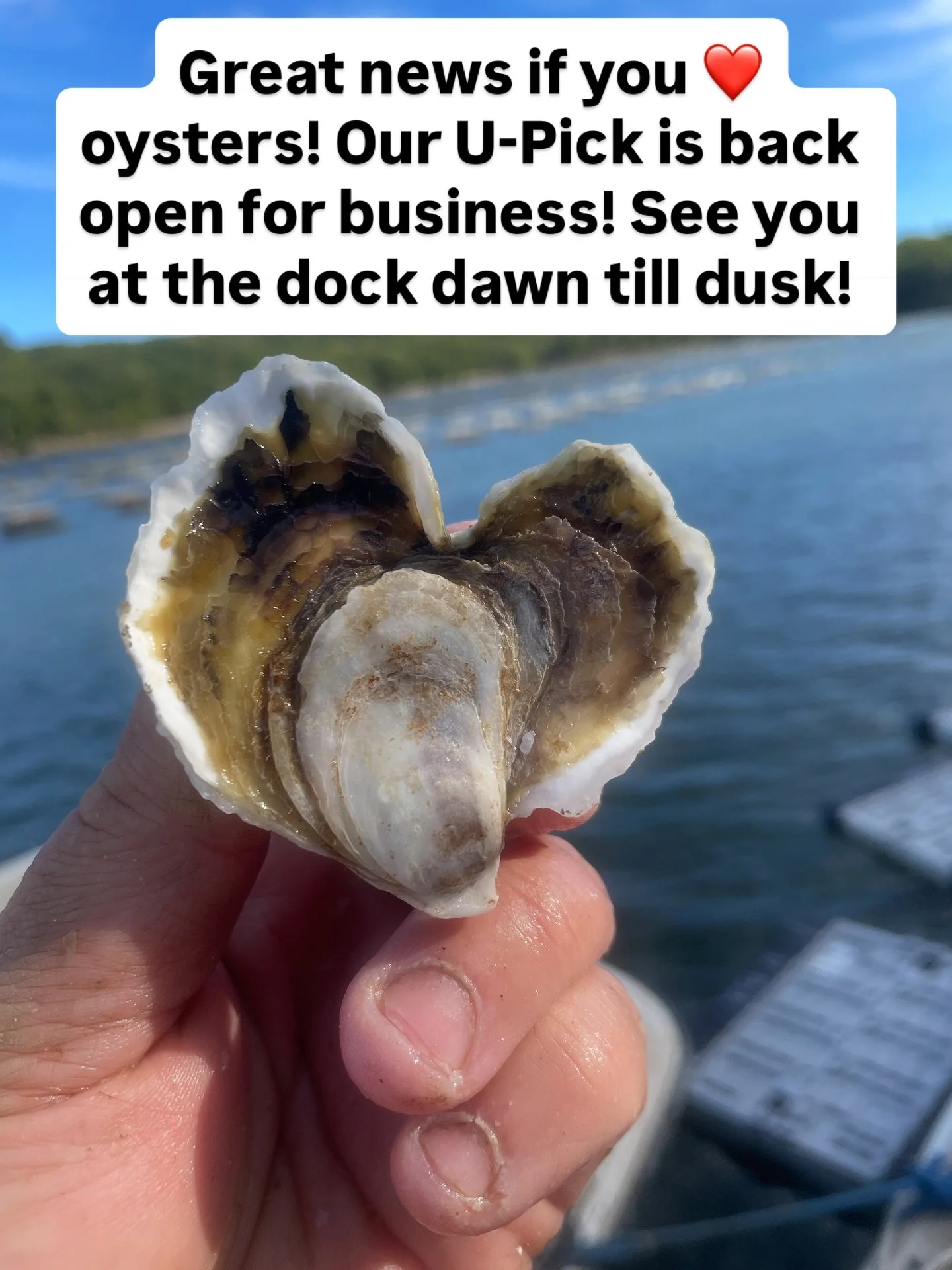 We&rsquo;re open for business at the dock again! Thanks for waiting! Swing by anytime from dawn till dusk, every day of the week.
