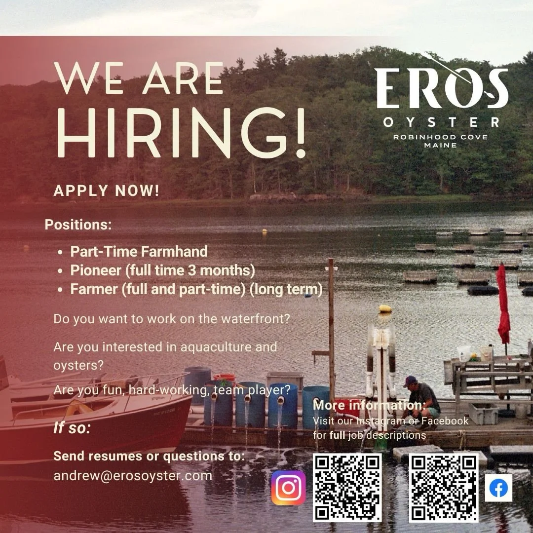 Calling all potential farmhands! We're looking for a few awesome farmers! No experience necessary! Know a good fit? Send this to them! If they're hired and mention you, you'll score 3 dozen free oysters from our u-pick! Questions? Andrew@erosoyster.c