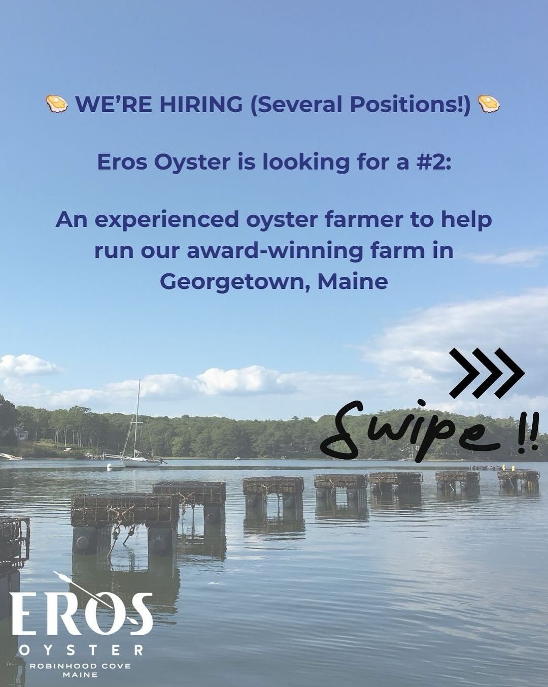 🦪 Eros Oyster is looking for an experienced oyster farmer to join the operation as #2.

This is a leadership-track role for someone ready to help run a successful farm and develop broad knowledge across the husbandry, hospitality, and operational si