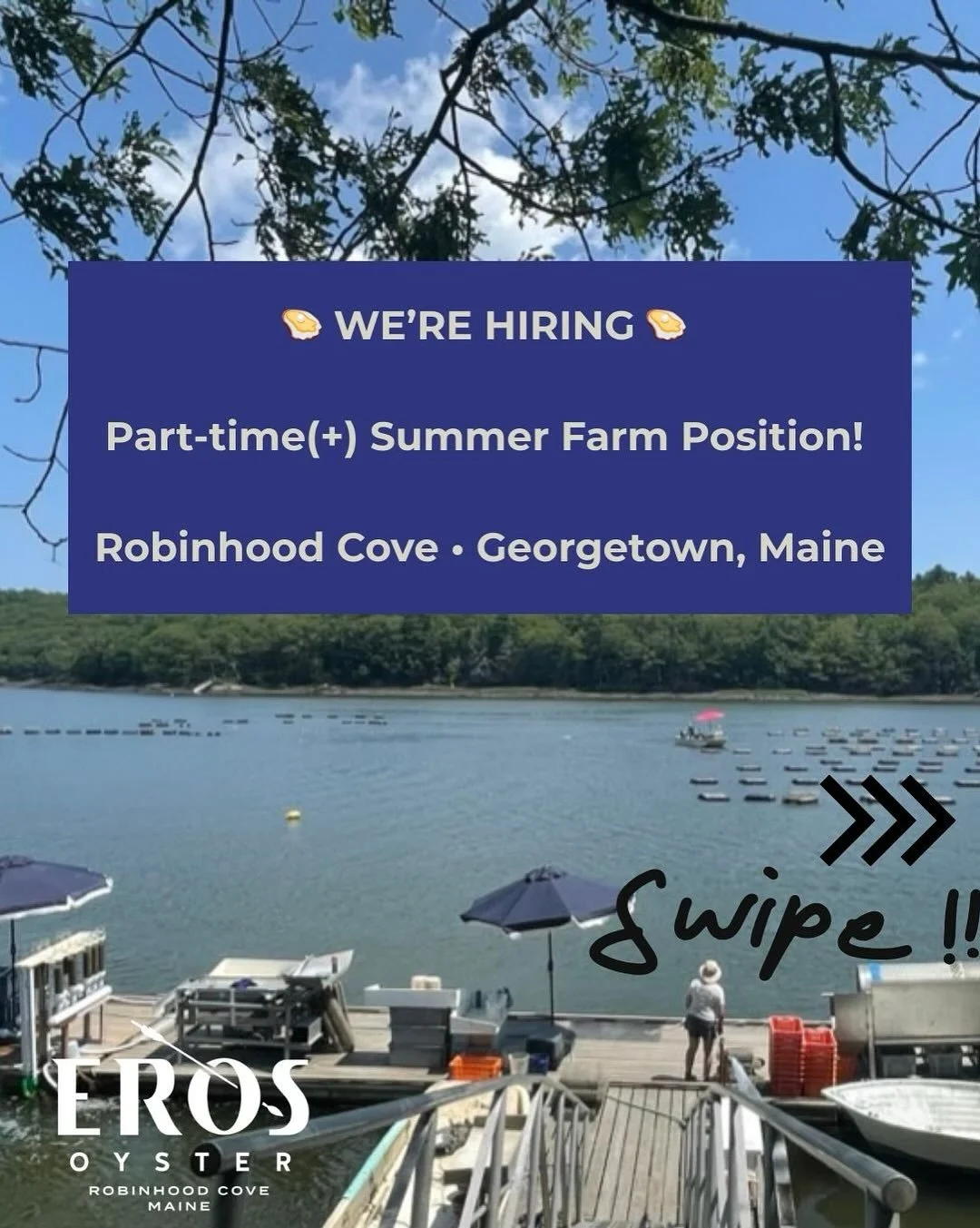🦪 Summer job on the water.

Eros Oyster is hiring a summer farm position to join our crew in Georgetown, Maine.

This is hands-on work on the water helping care for oysters, maintain gear, support farm operations, and interact with visitors during t