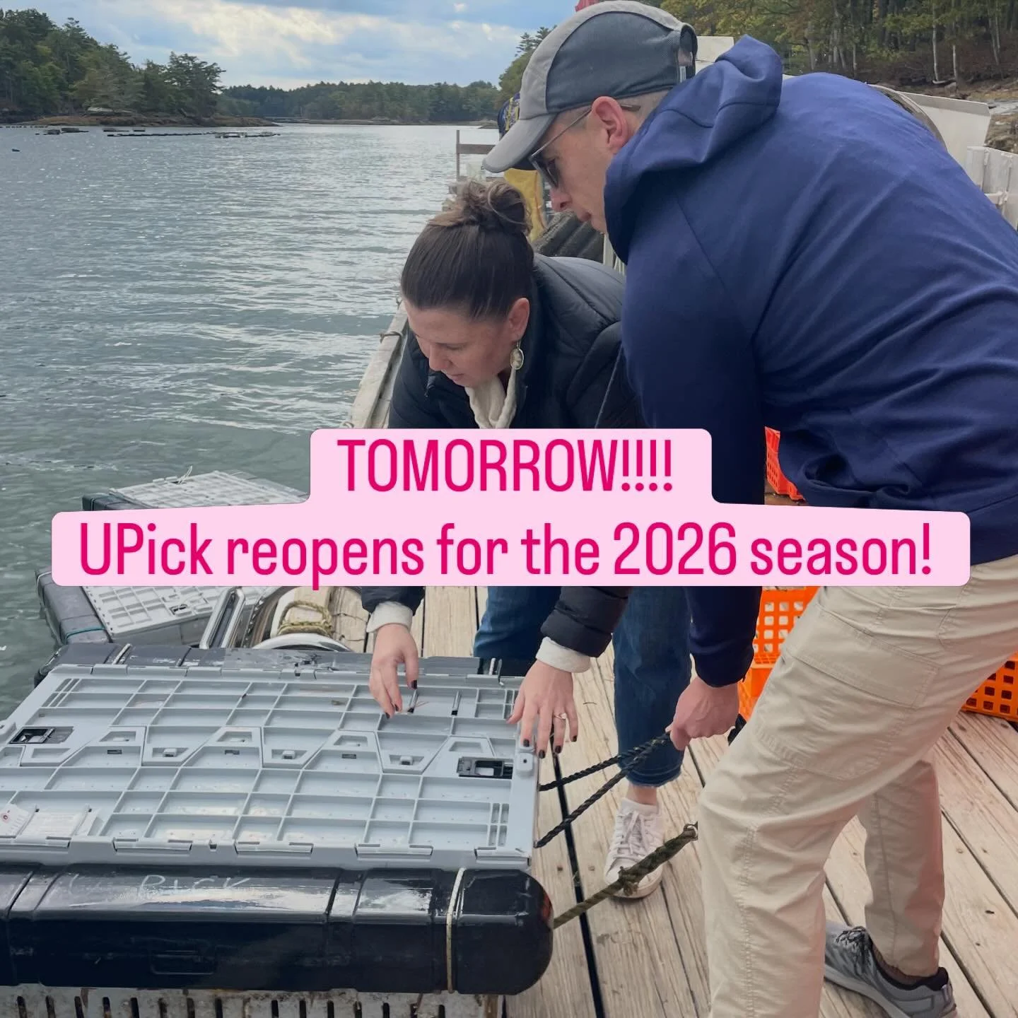 UPick reopens for the 2026 season TOMORROW April 11th!! 
Please use caution on the ramp and floats and remember to return the oyster crate to the water after making your selection. 🦪