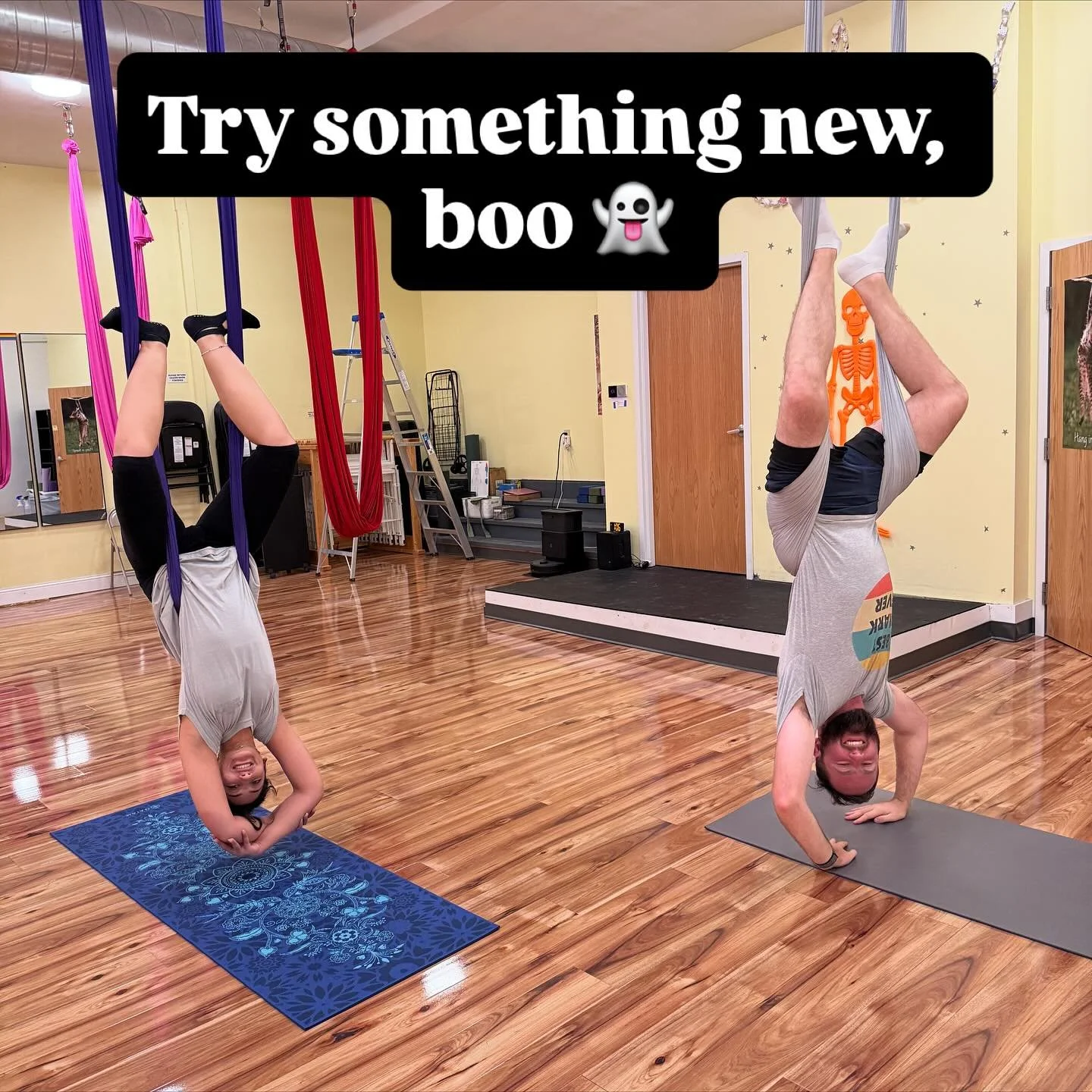 Try something new! 
👻Aerial
👻Yoga
👻Kettlebell 
👻Barre

Intro month is $49
Try them all!

Grab it @hellosunshineyoga_ 

#aerialyoga #aerial #yoga #cincinnatiyoga #cincinnati #cincyfitness
