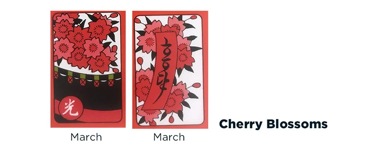 cherrycards copy.jpg