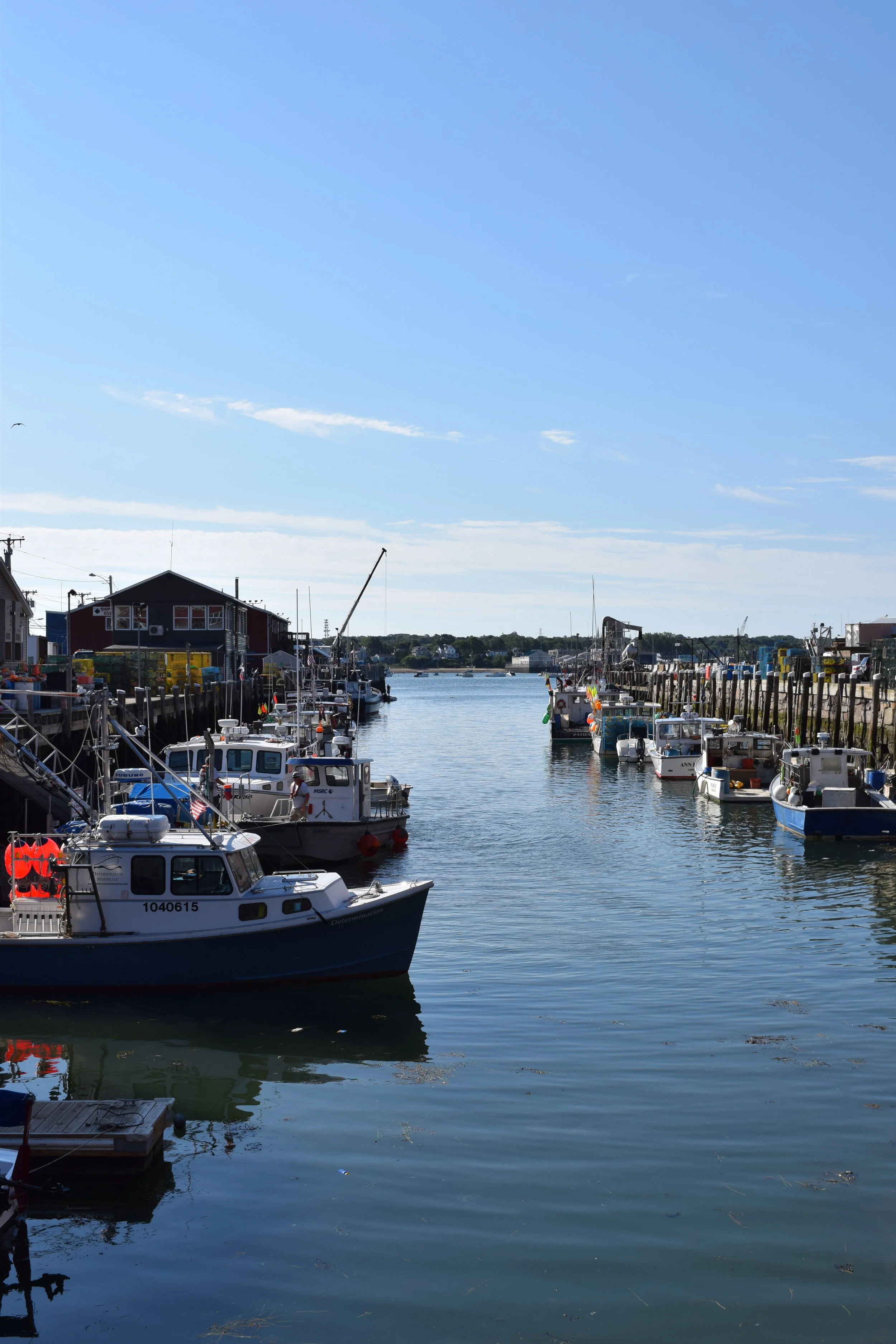 DSC_0154 BEST JM.JPG